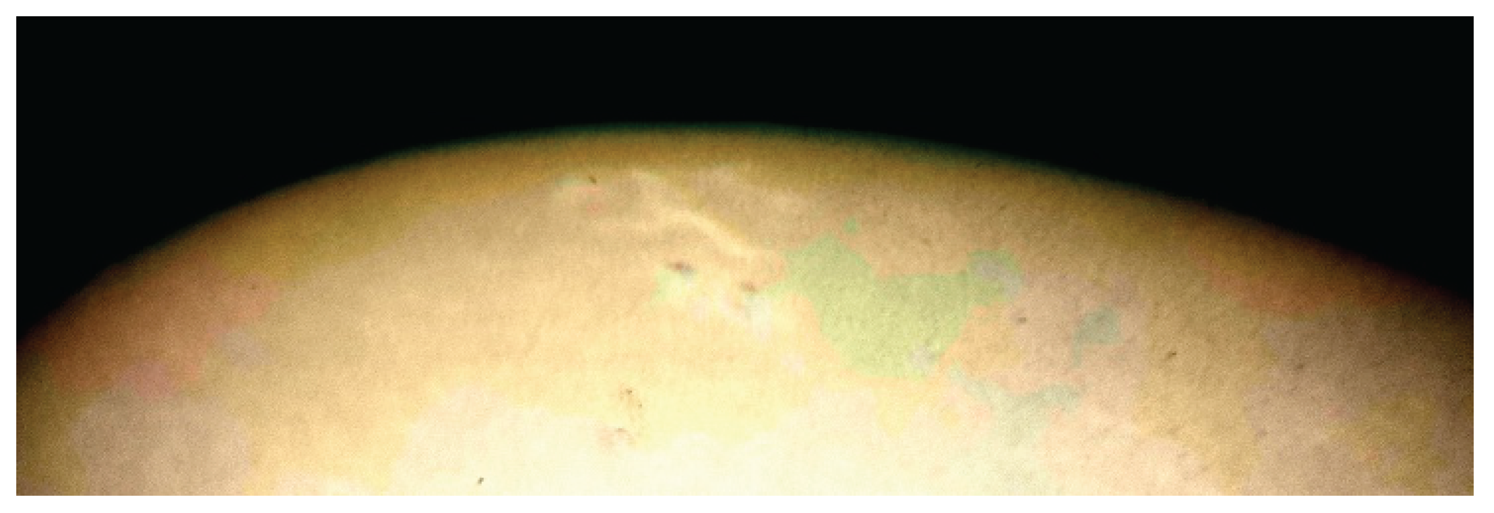 Preprints 176198 g014