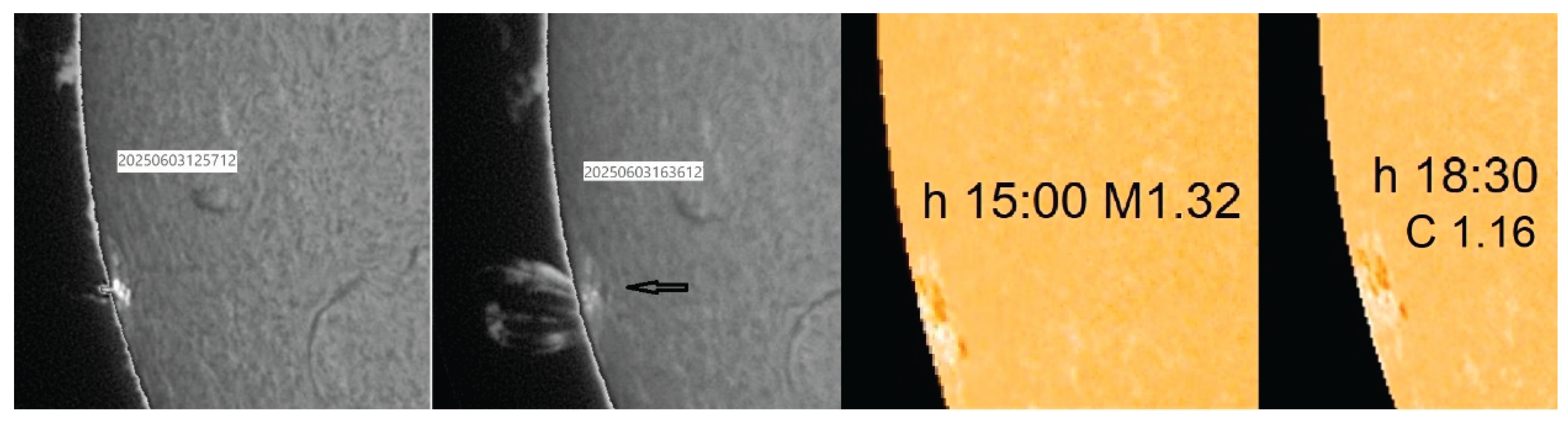 Preprints 176198 g015