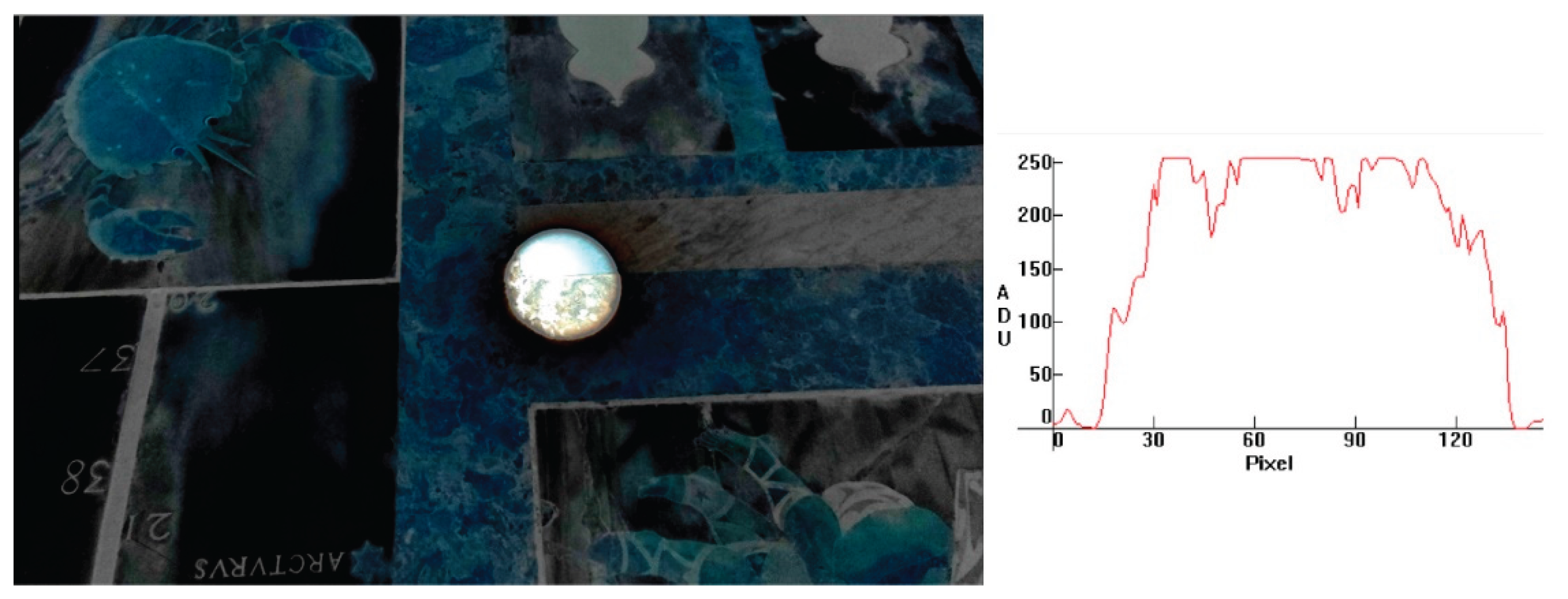 Preprints 176198 g020