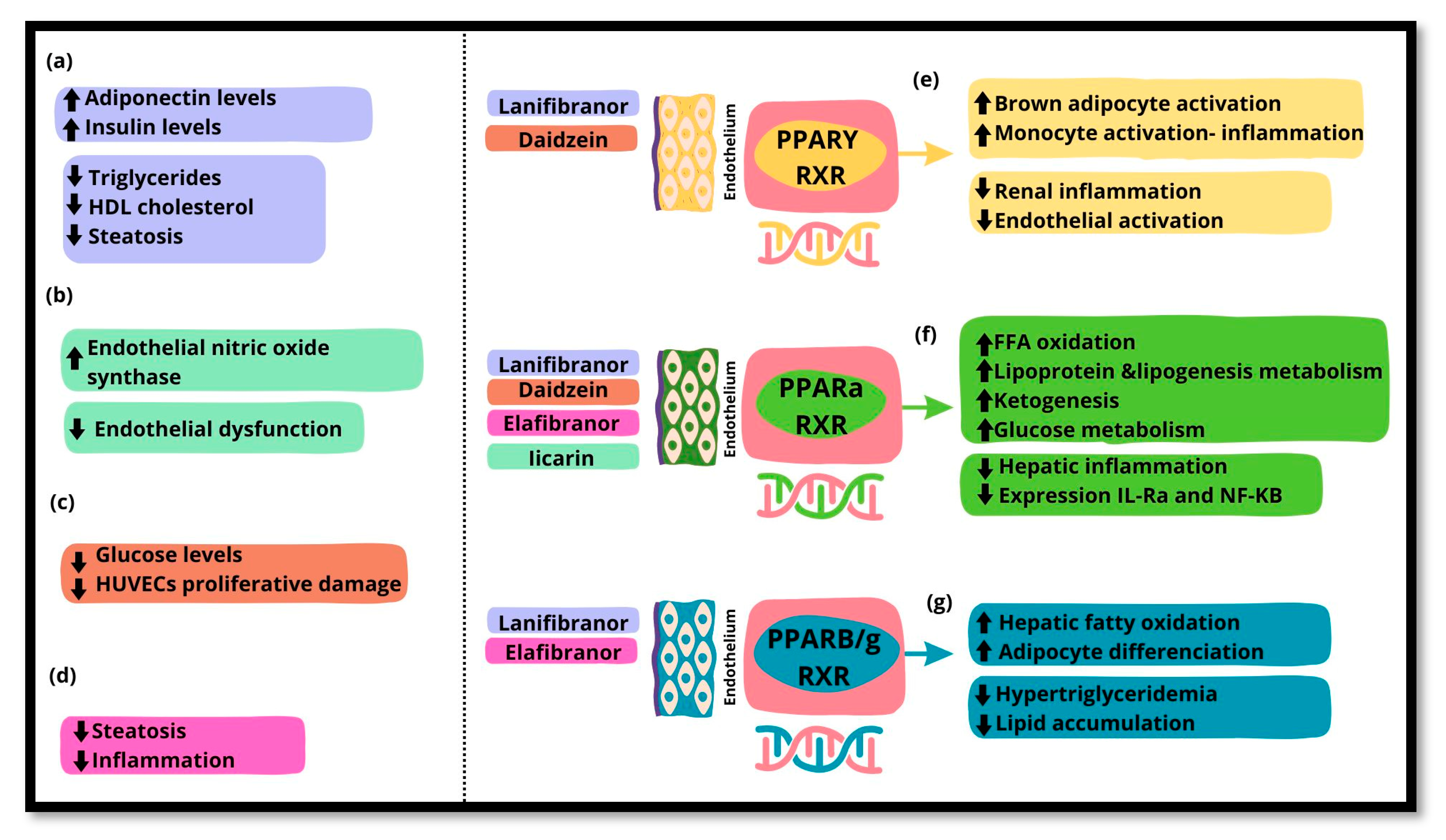 Preprints 139536 g001