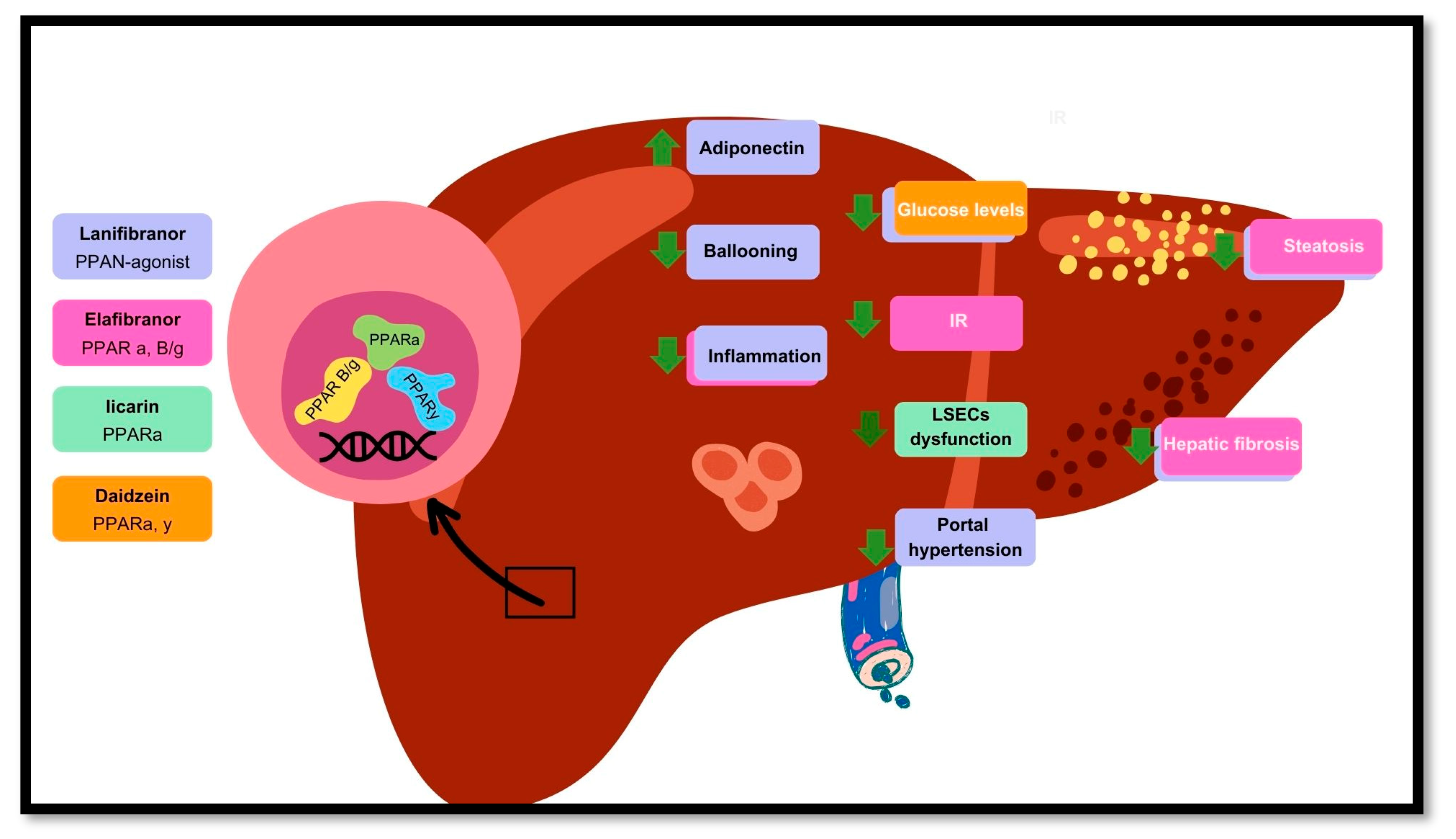 Preprints 139536 g002