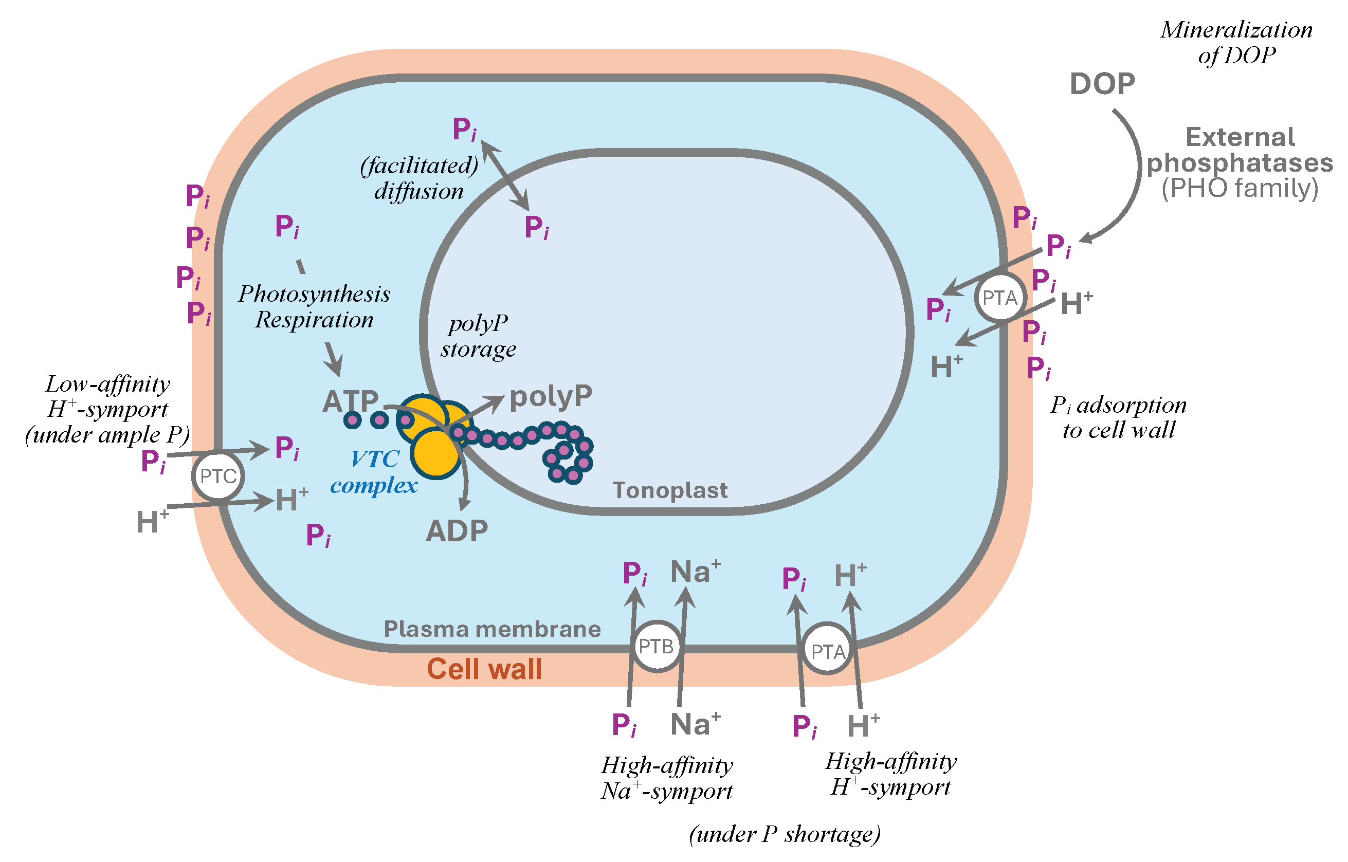 Preprints 174864 g001