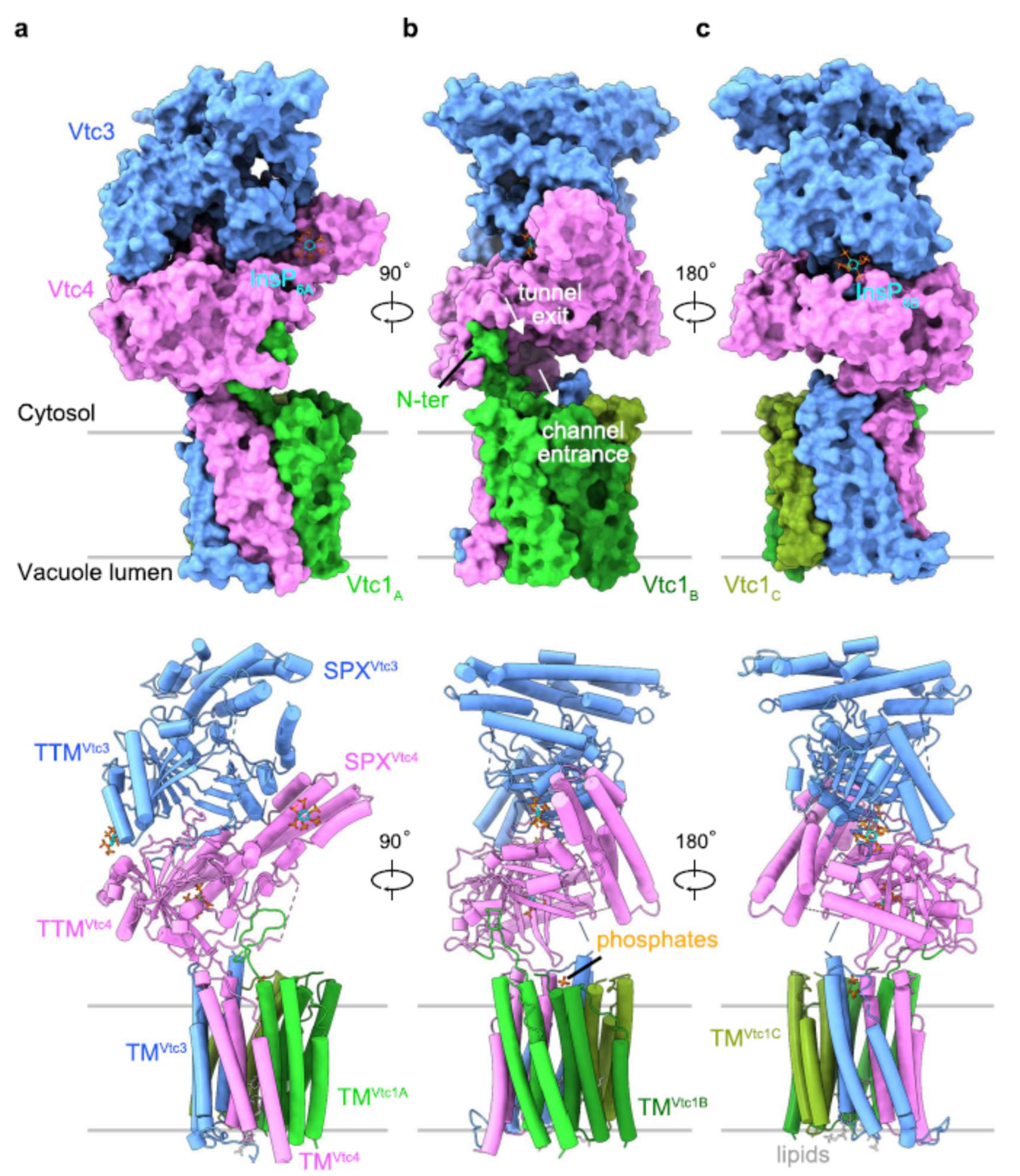 Preprints 174864 g003