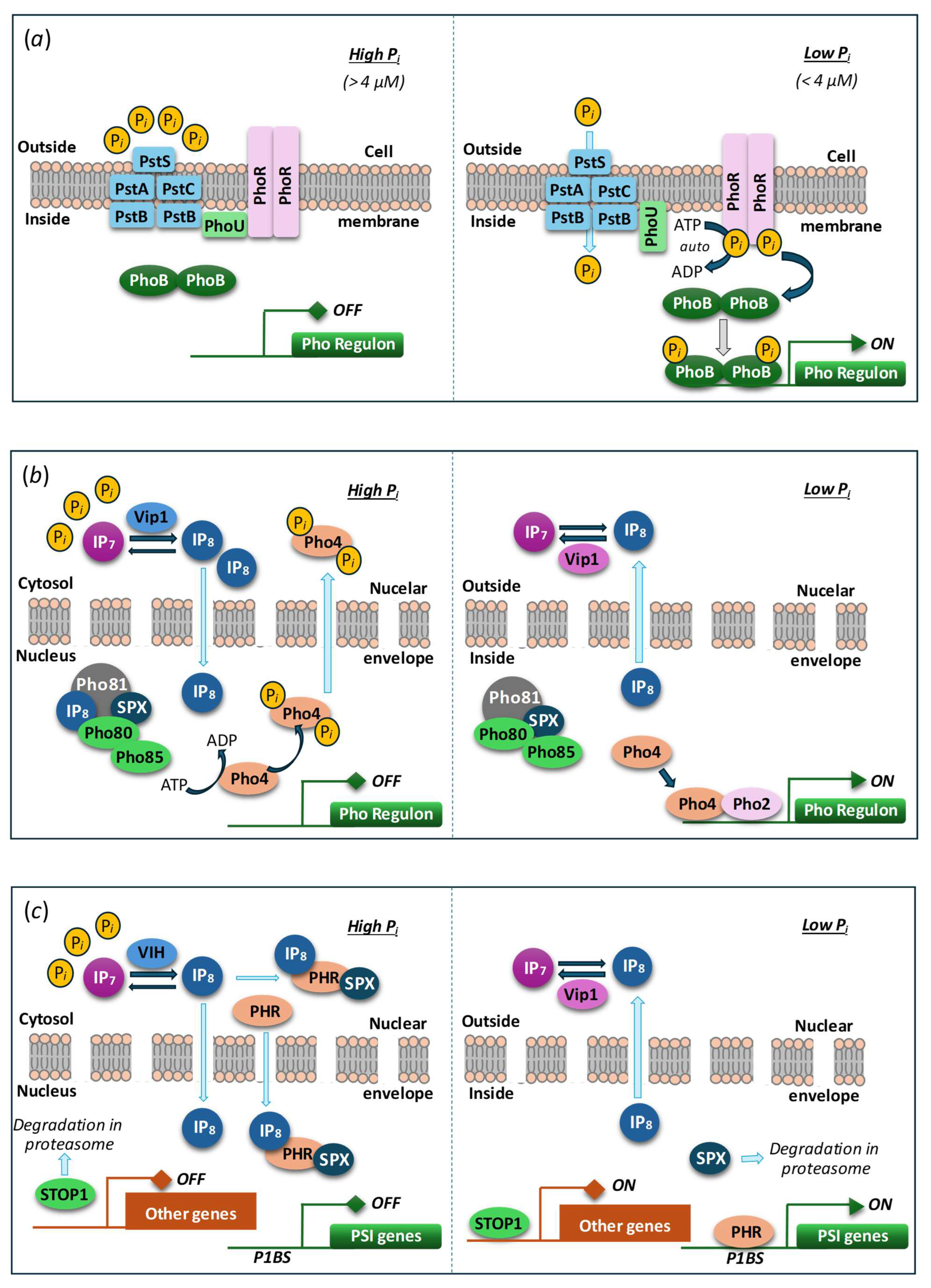 Preprints 174864 g004
