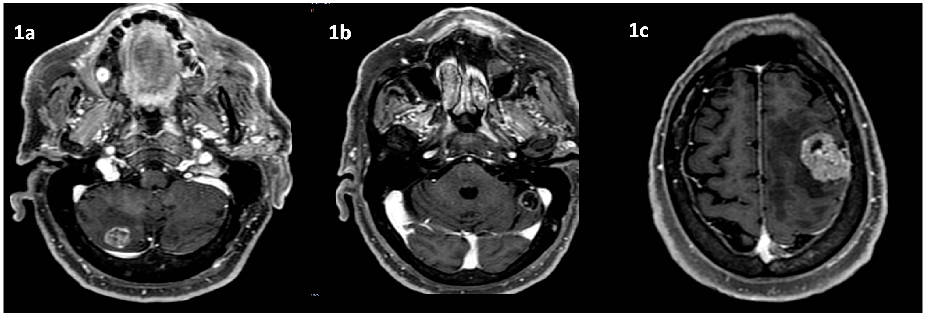 Preprints 139238 g001