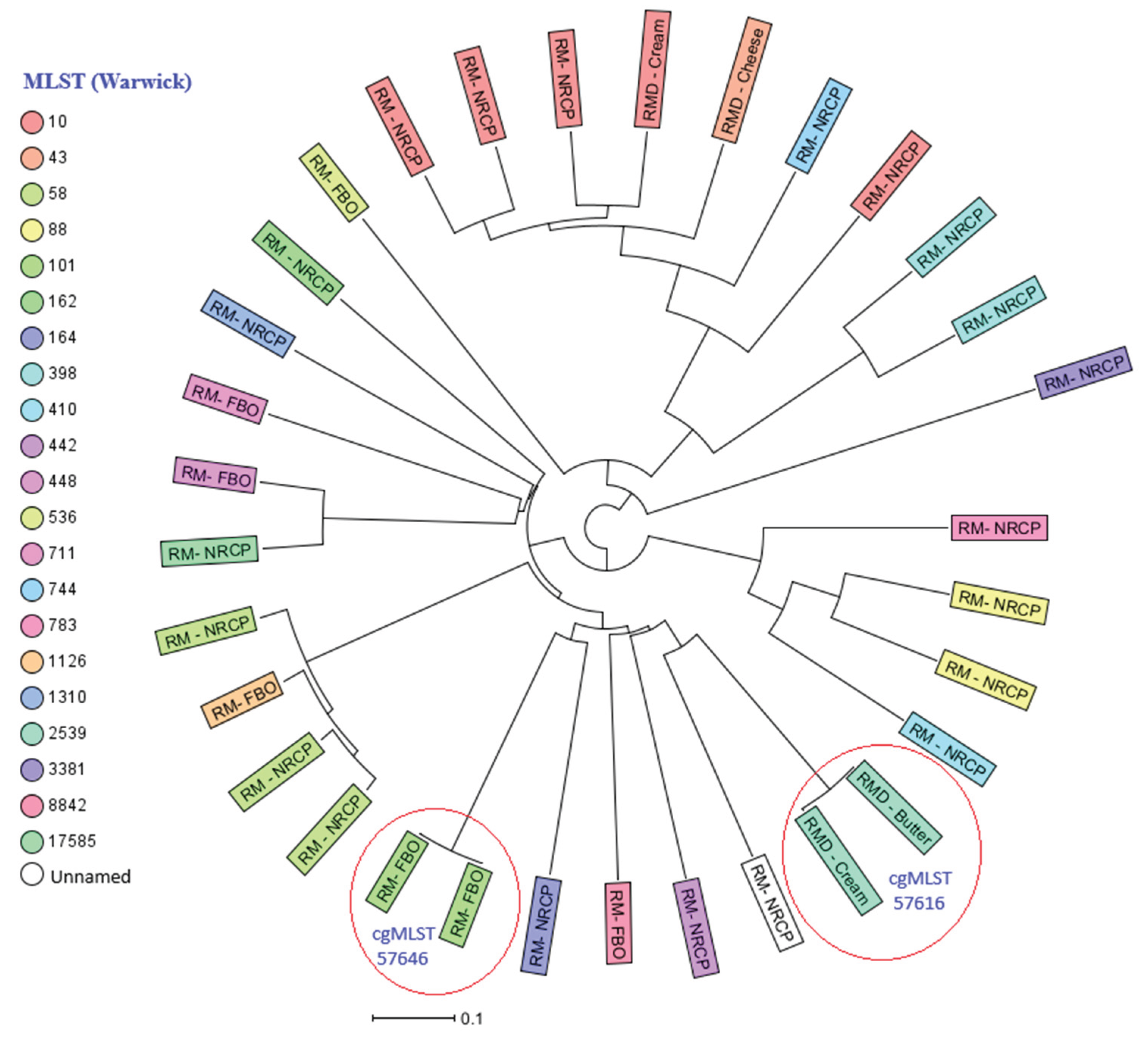 Preprints 196644 g002