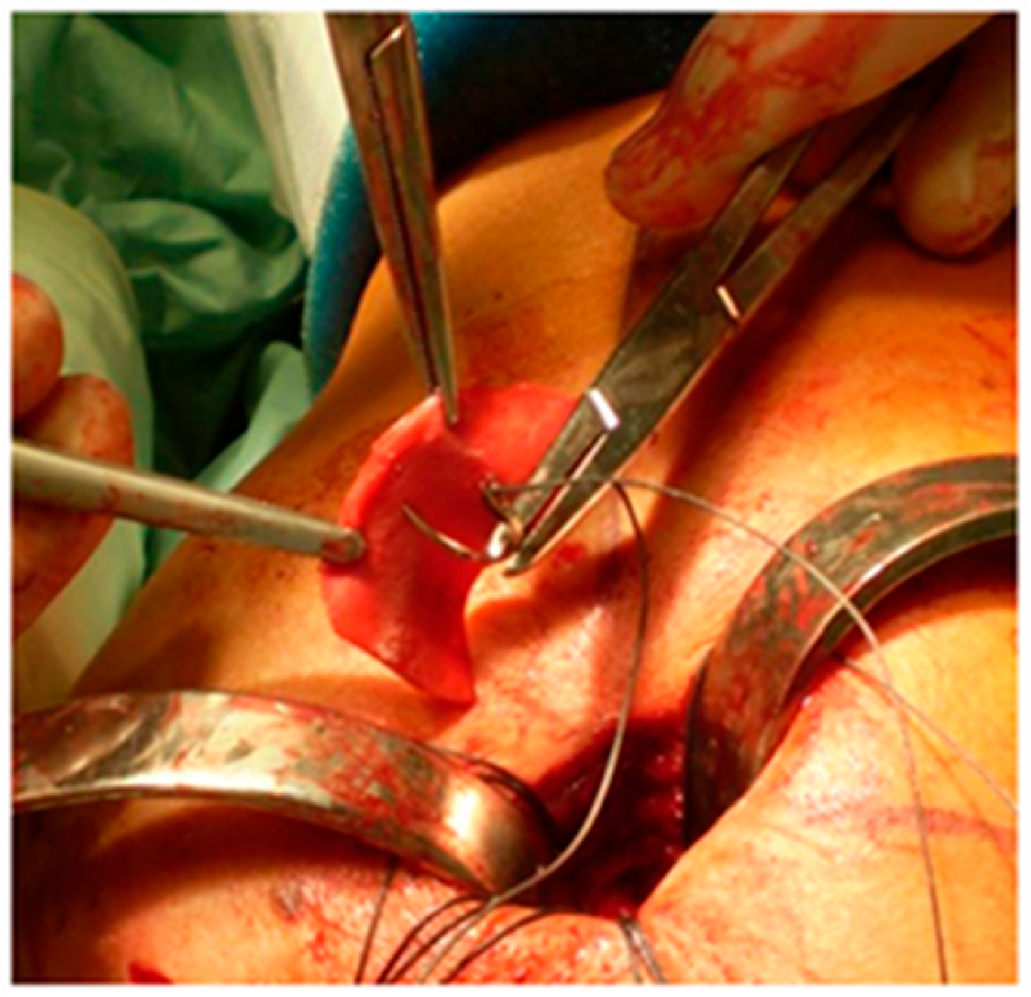 Preprints 116199 g002