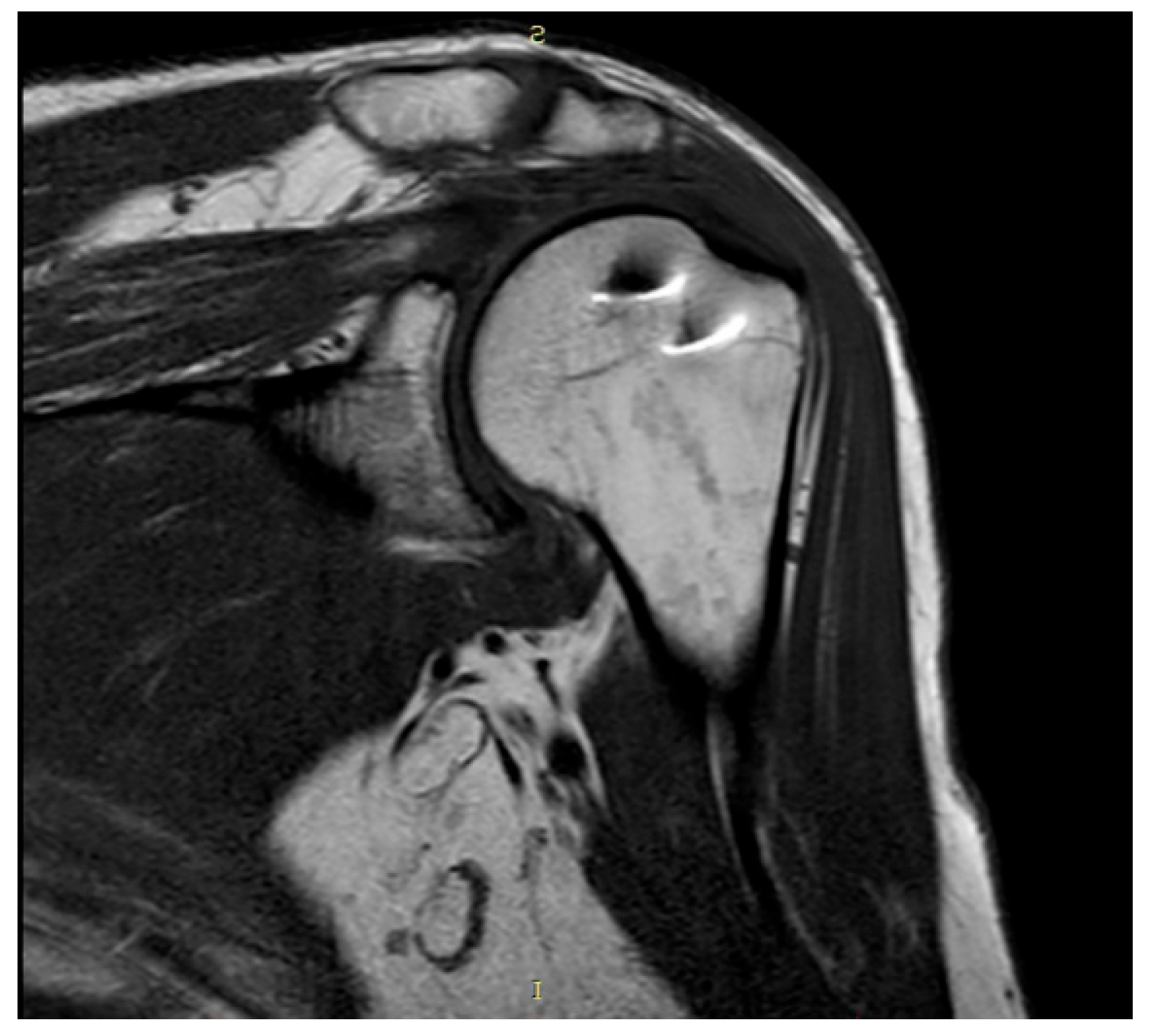 Preprints 116199 g003