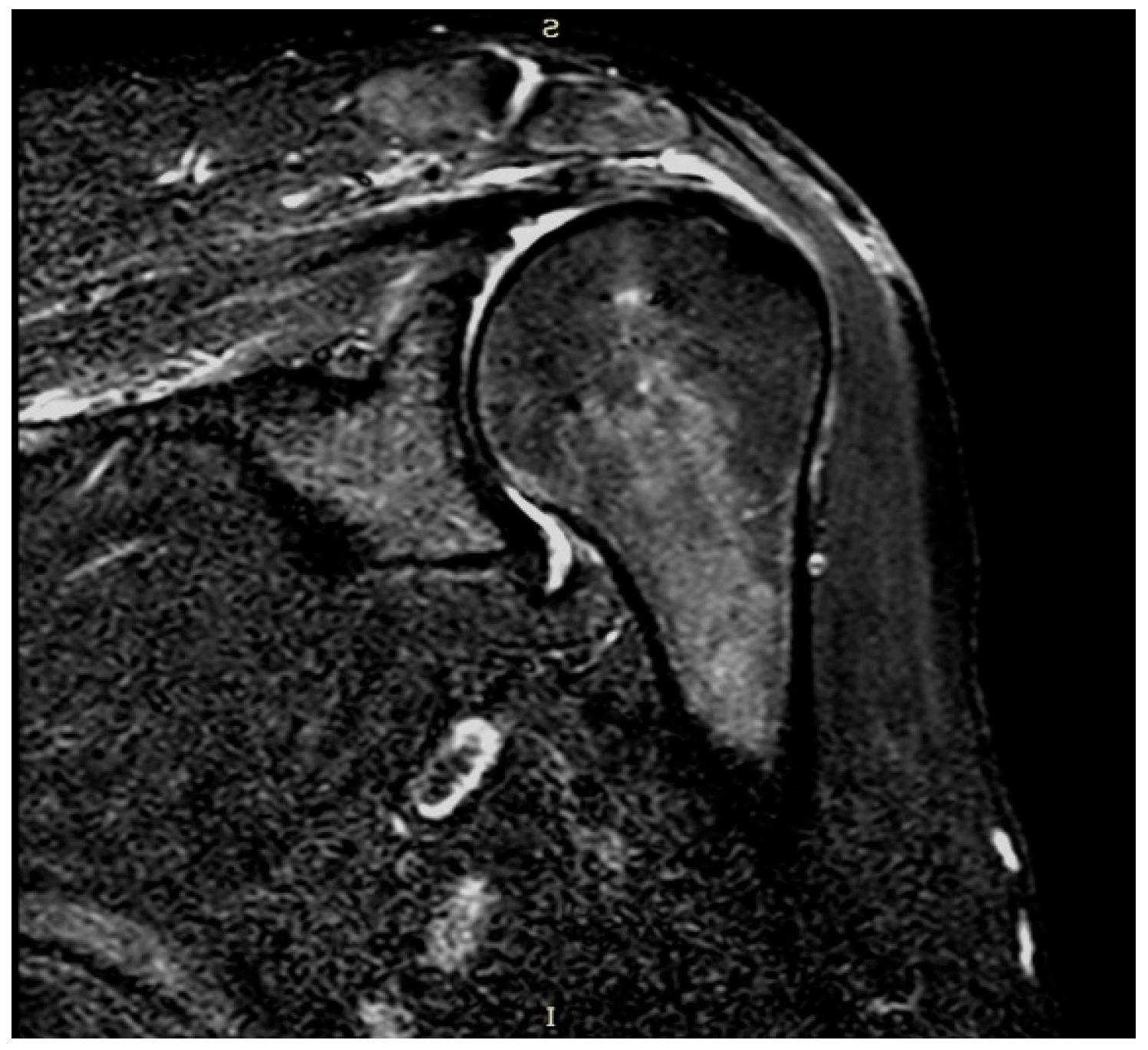 Preprints 116199 g004