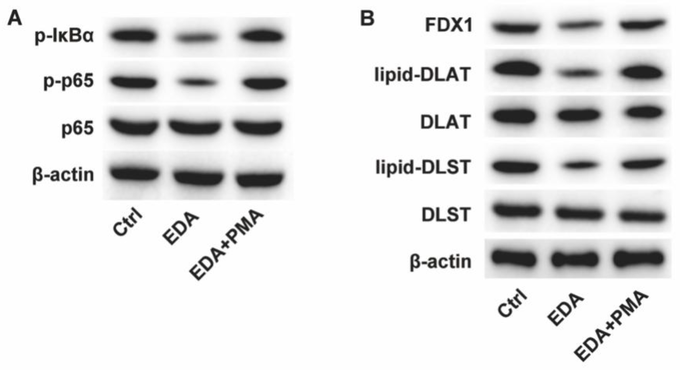 Preprints 164879 g002
