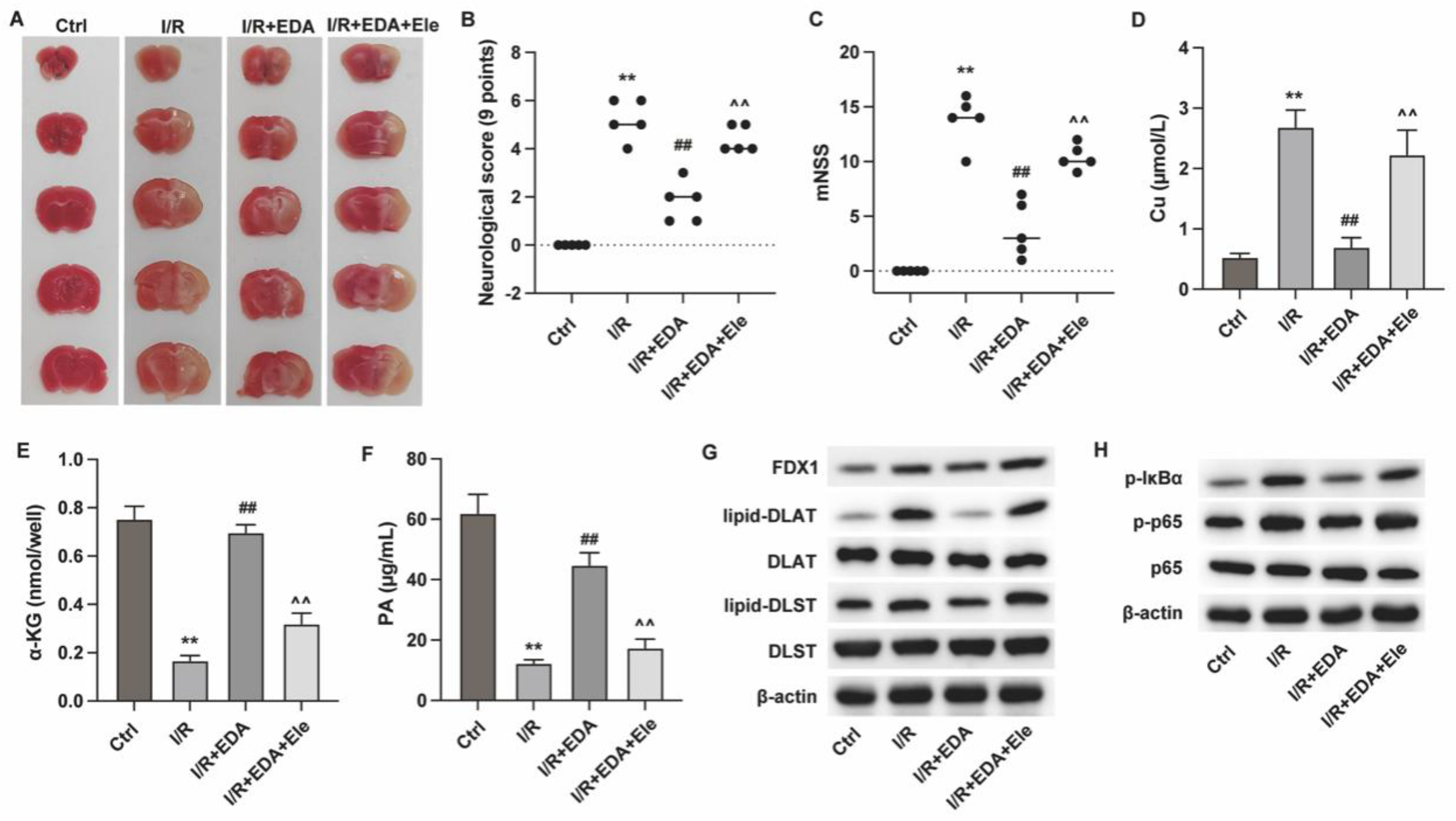 Preprints 164879 g004