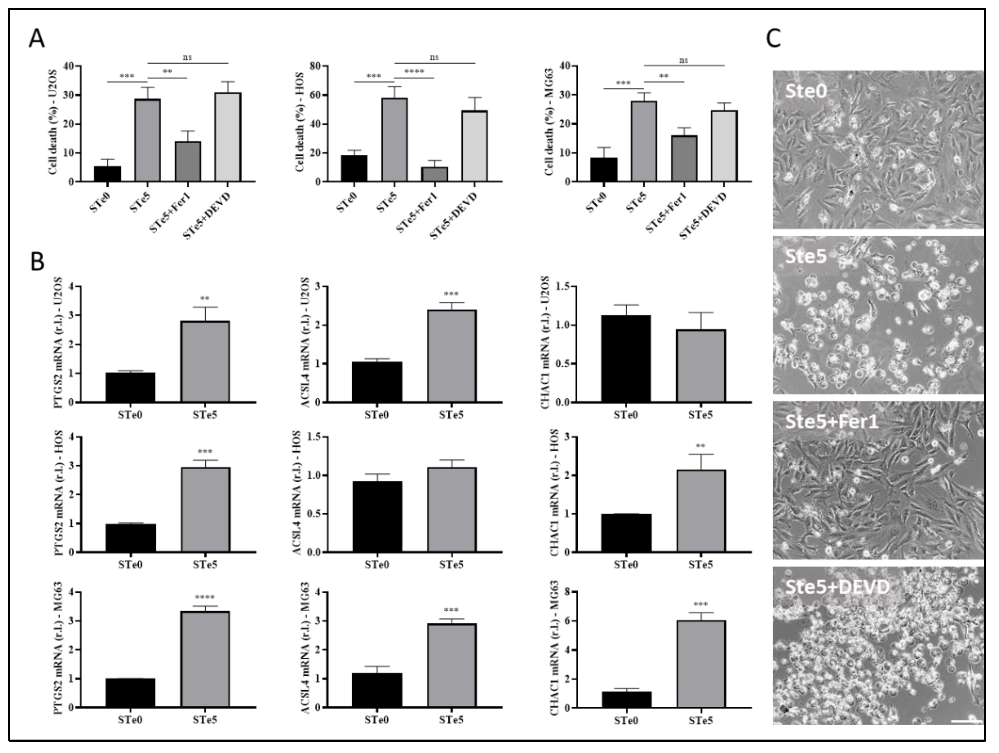 Preprints 118435 g002