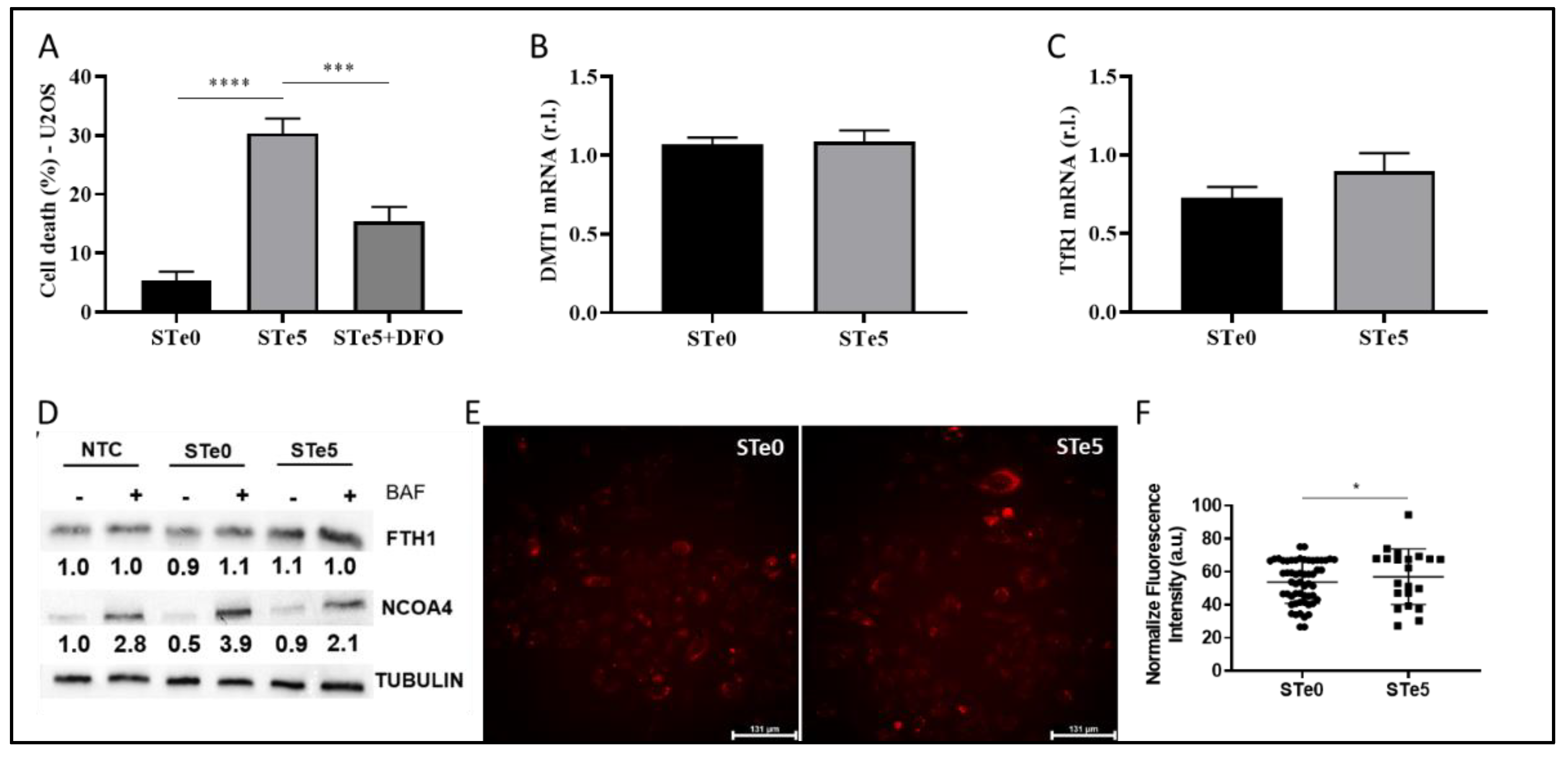 Preprints 118435 g003