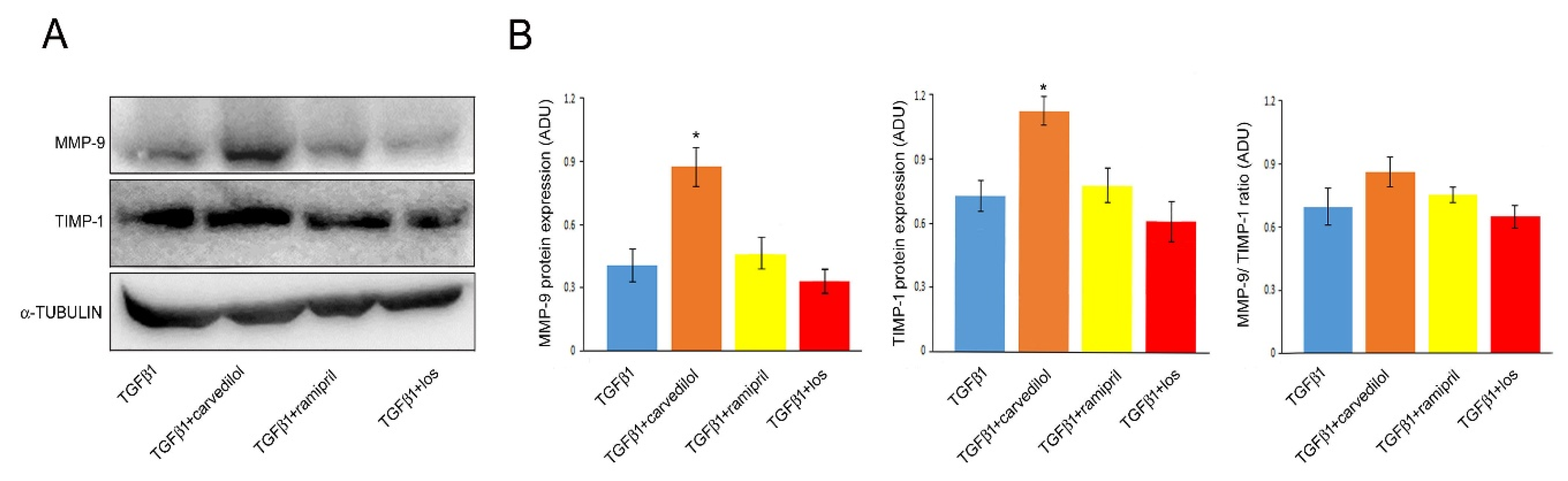 Preprints 213304 g003