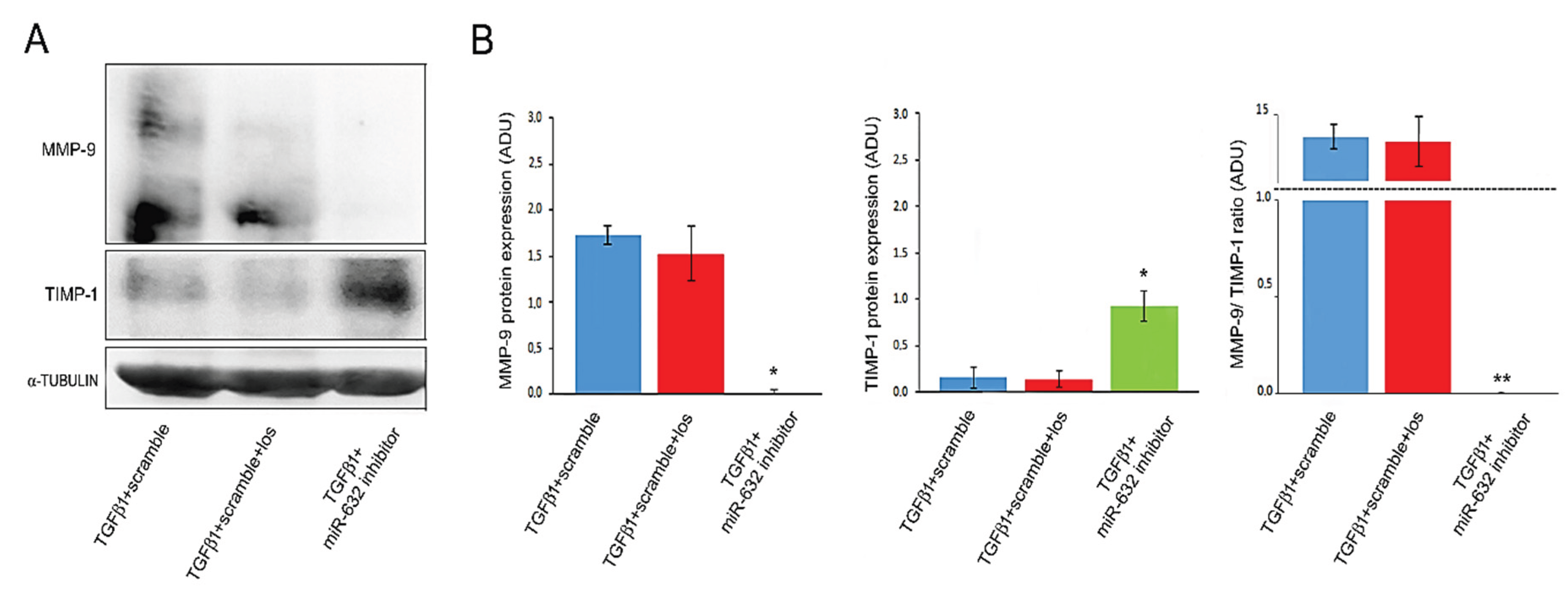 Preprints 213304 g006