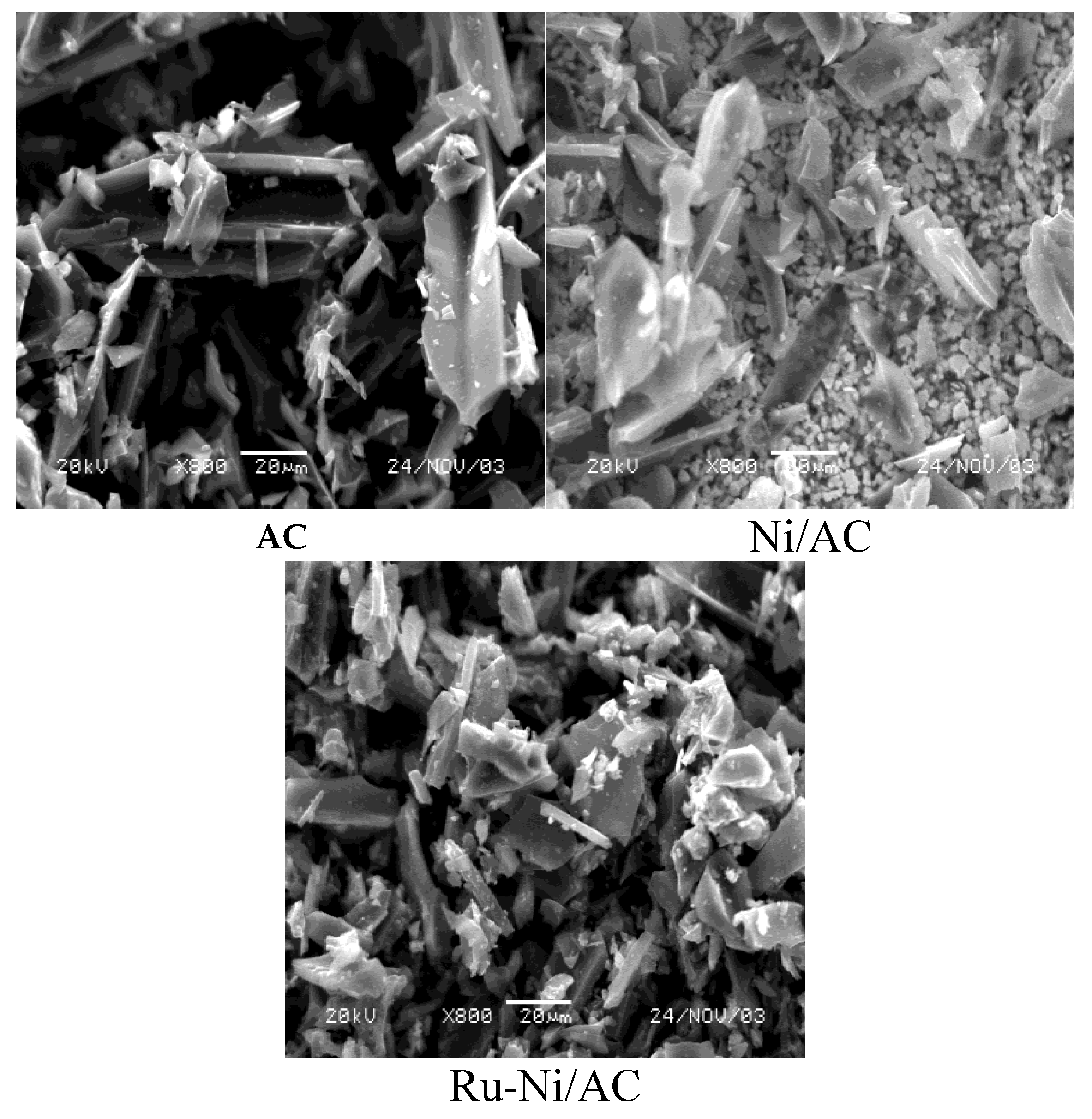 Preprints 165266 g003