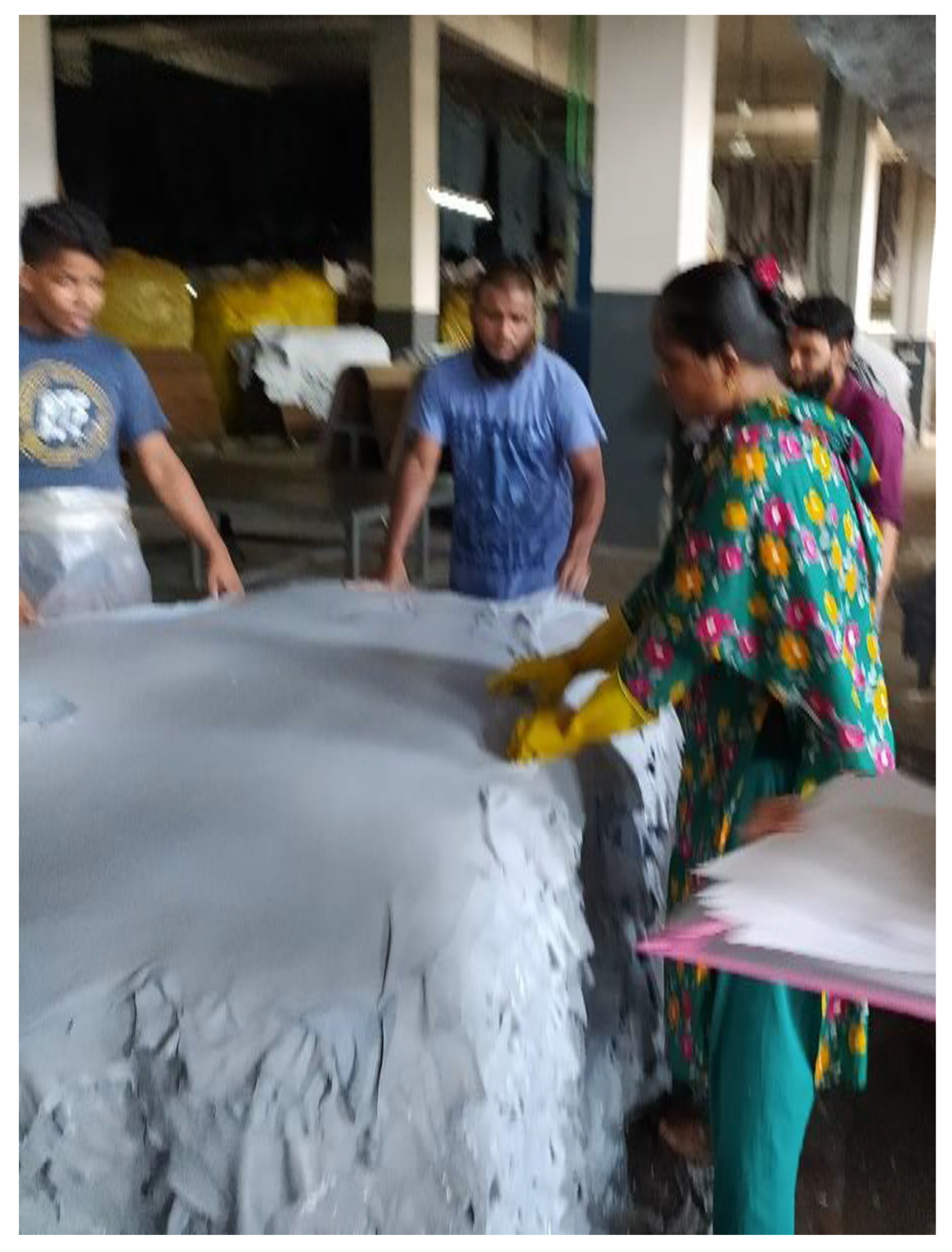 Preprints 154943 g005