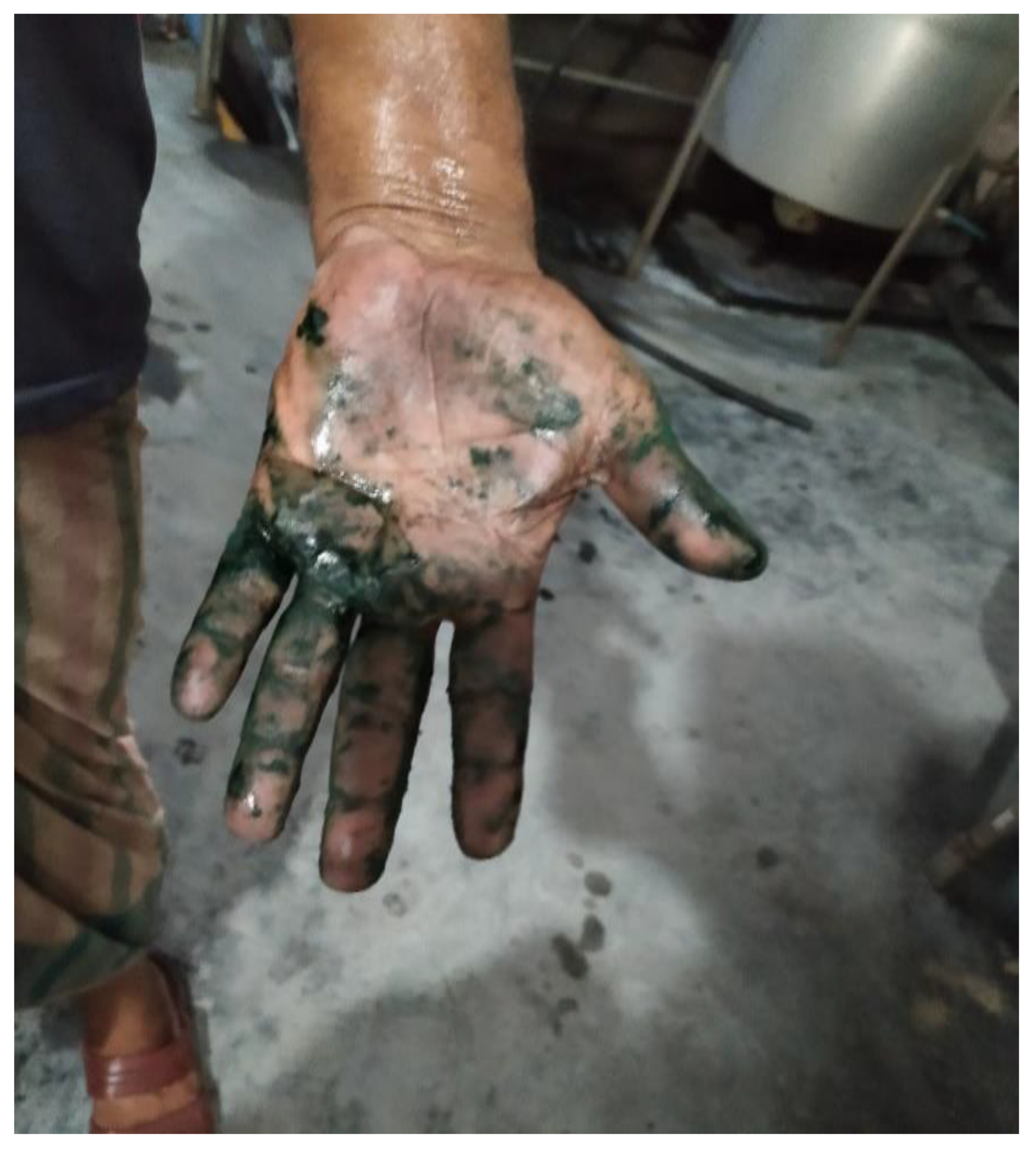 Preprints 154943 g006