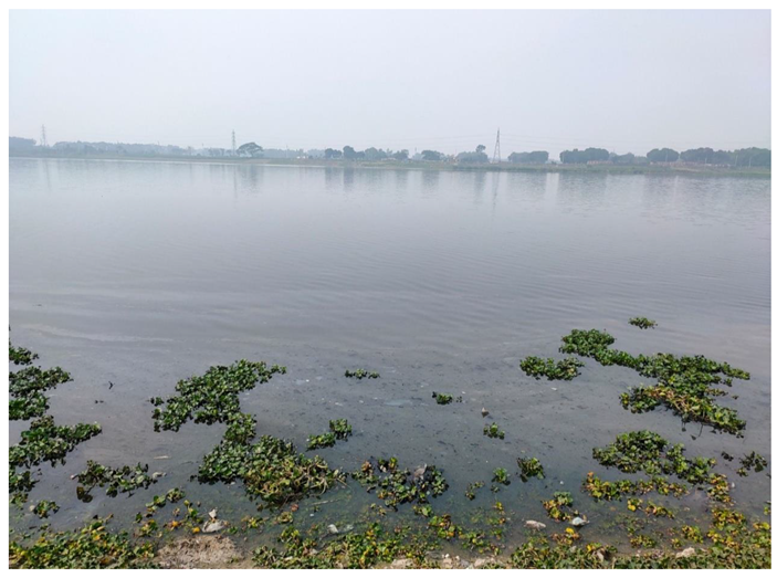 Preprints 154943 i007