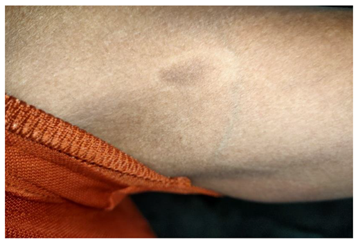 Preprints 154943 i031