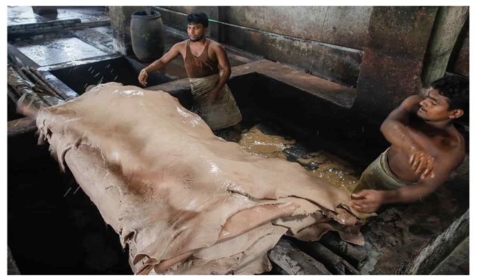 Preprints 154943 i037