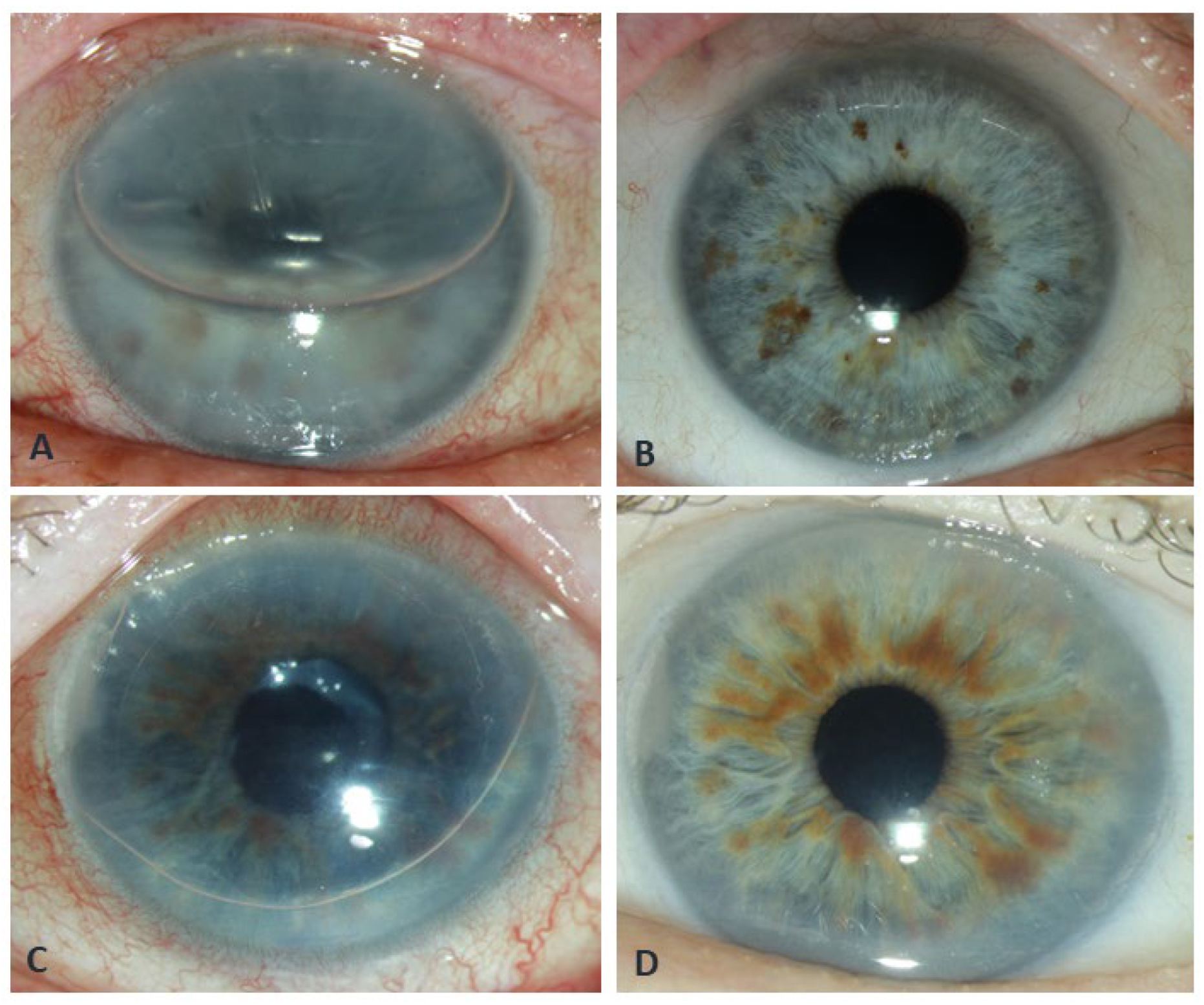 Preprints 185482 g001