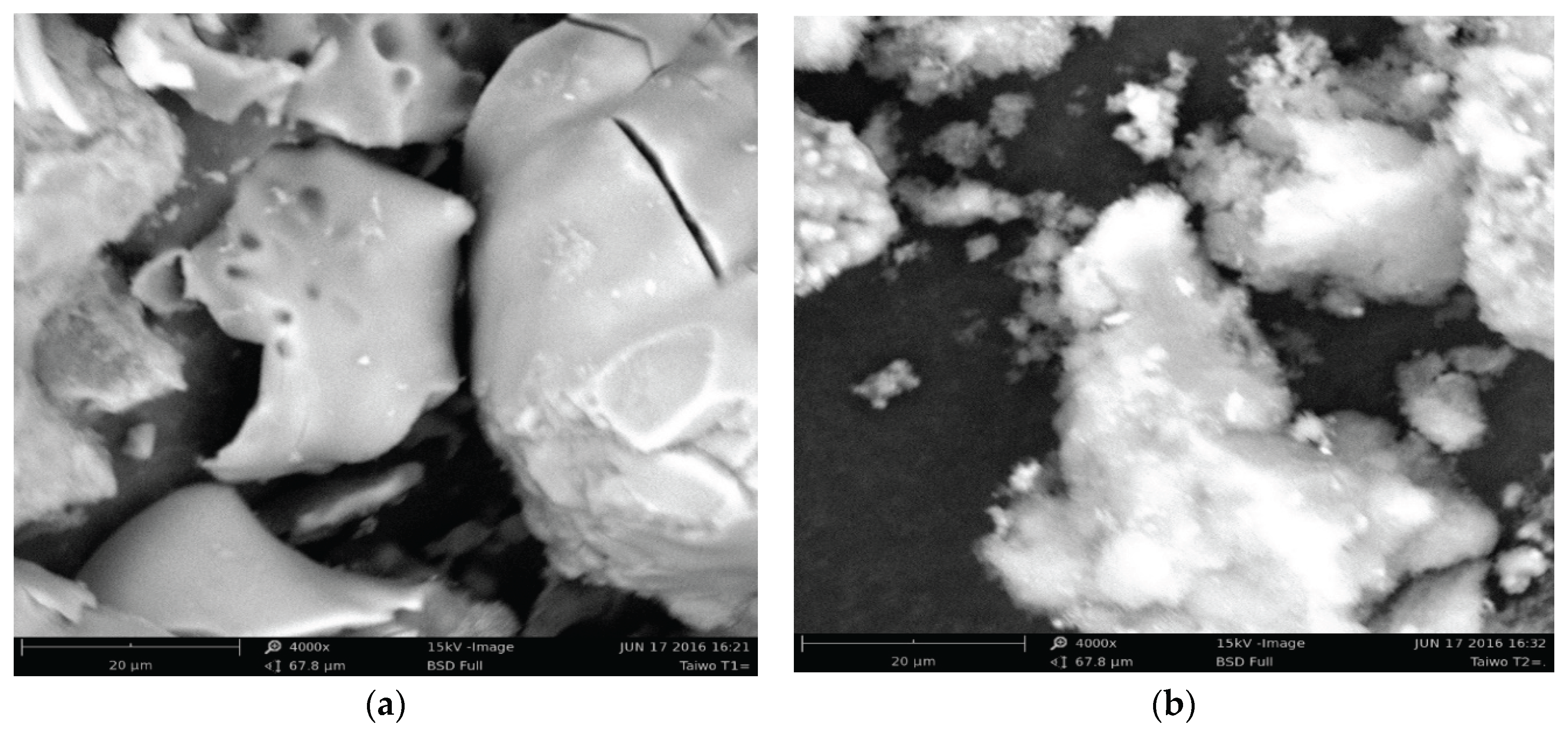 Preprints 167398 g004