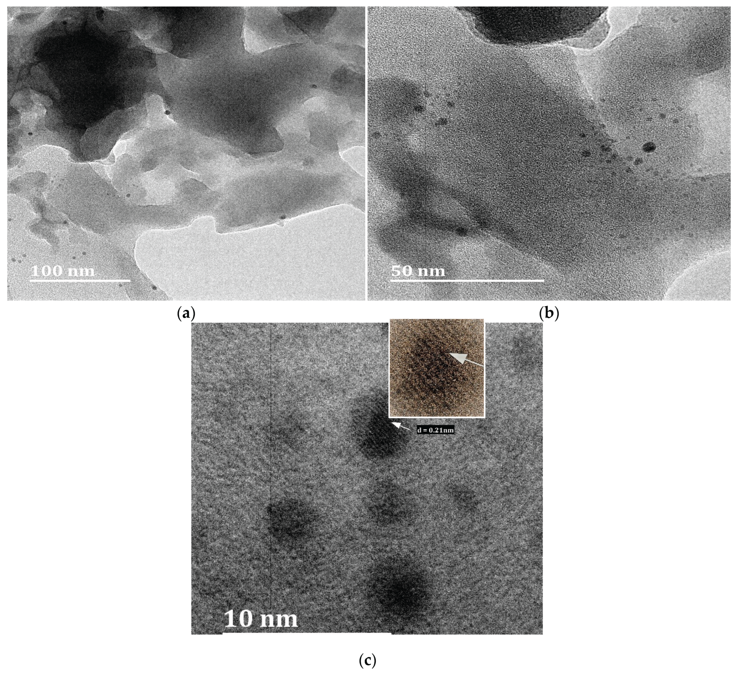 Preprints 167398 g005