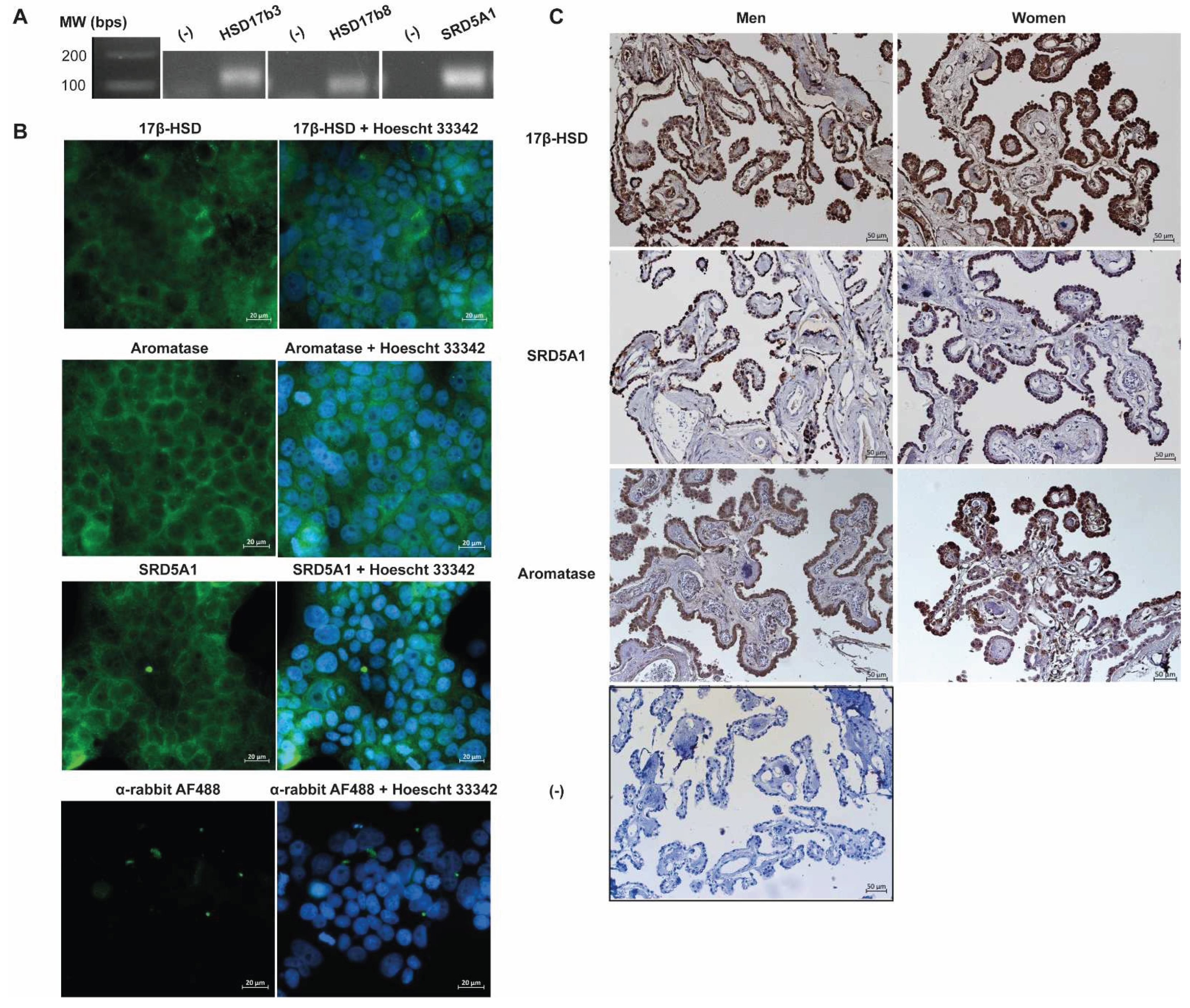 Preprints 161205 g002
