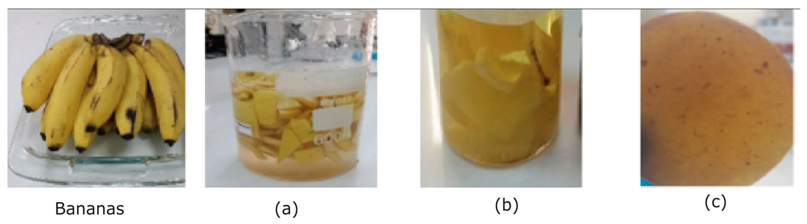 Preprints 148649 g001