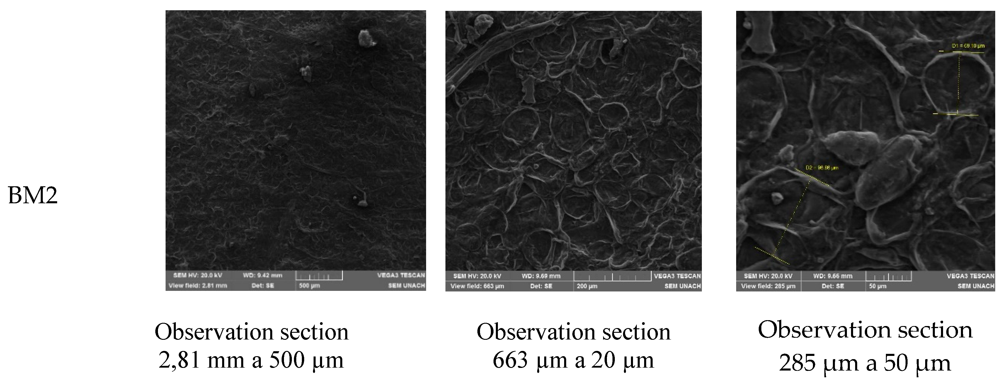 Preprints 148649 g005