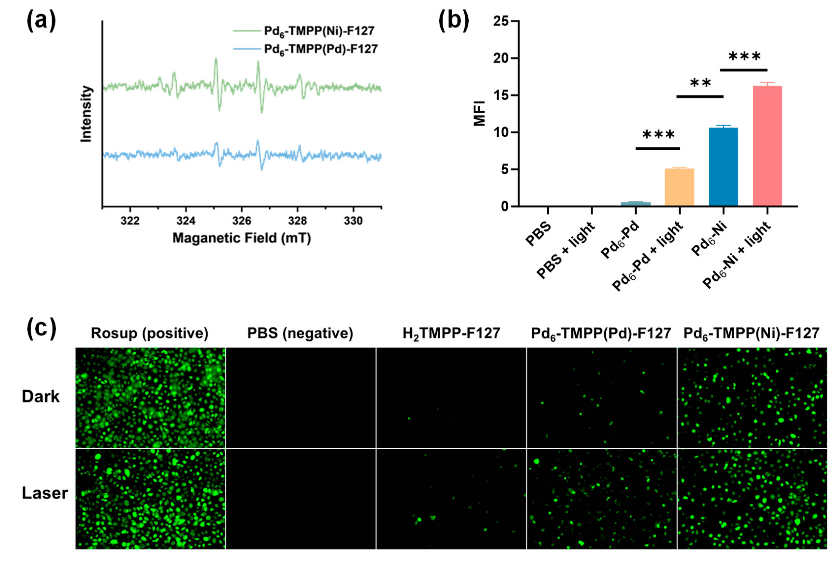 Preprints 209010 g003