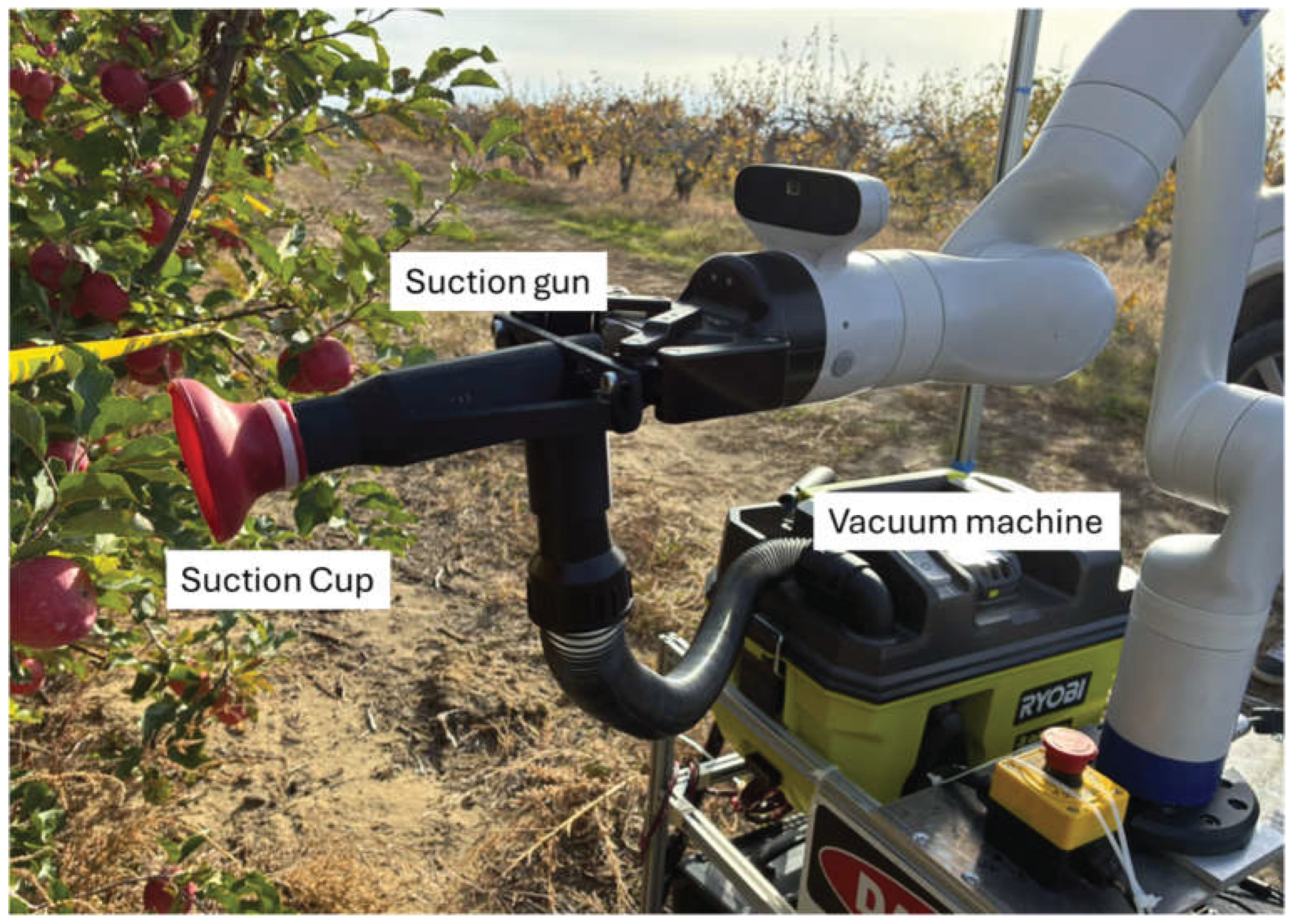 Preprints 198940 g008