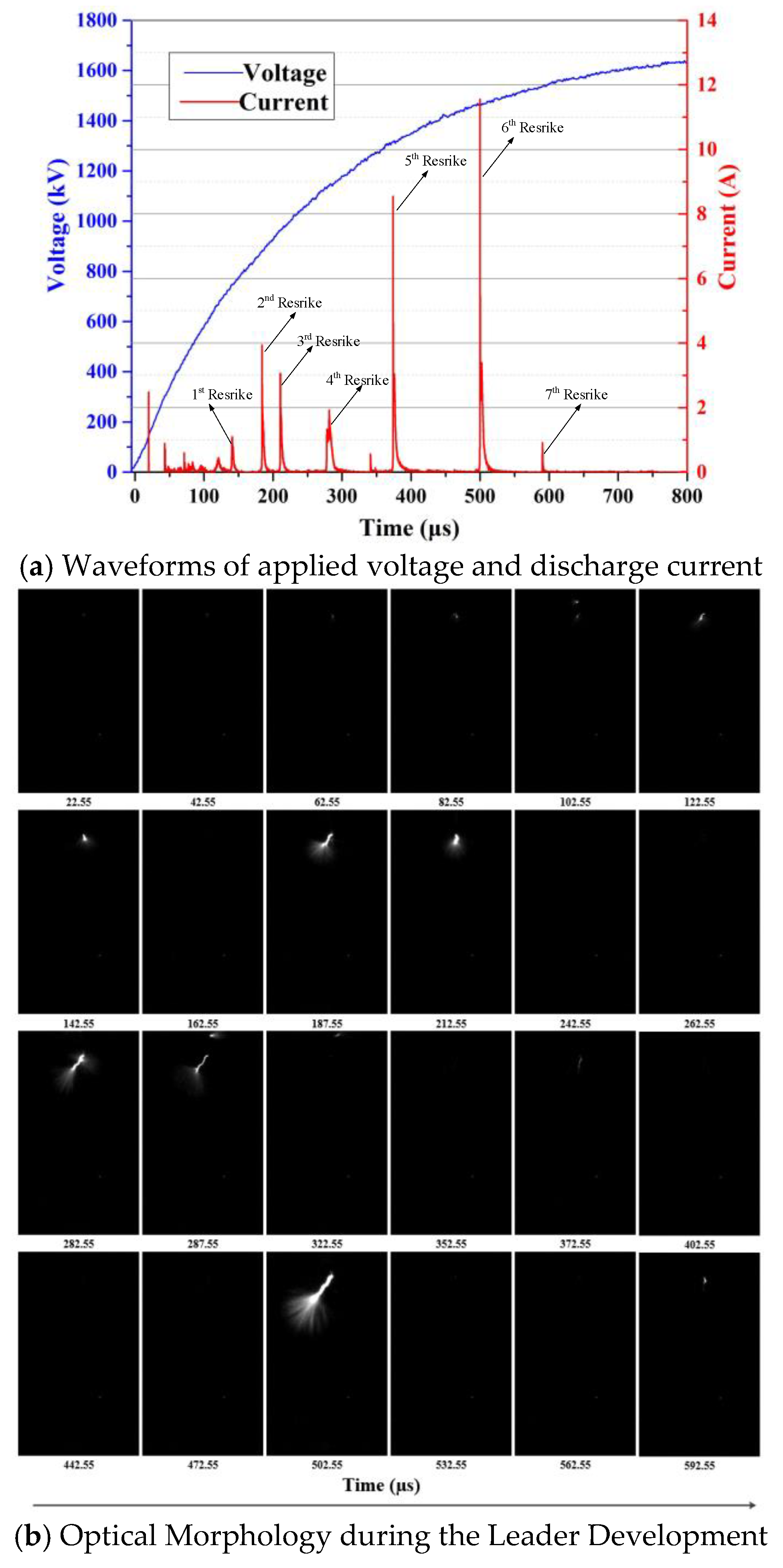 Preprints 153530 g002