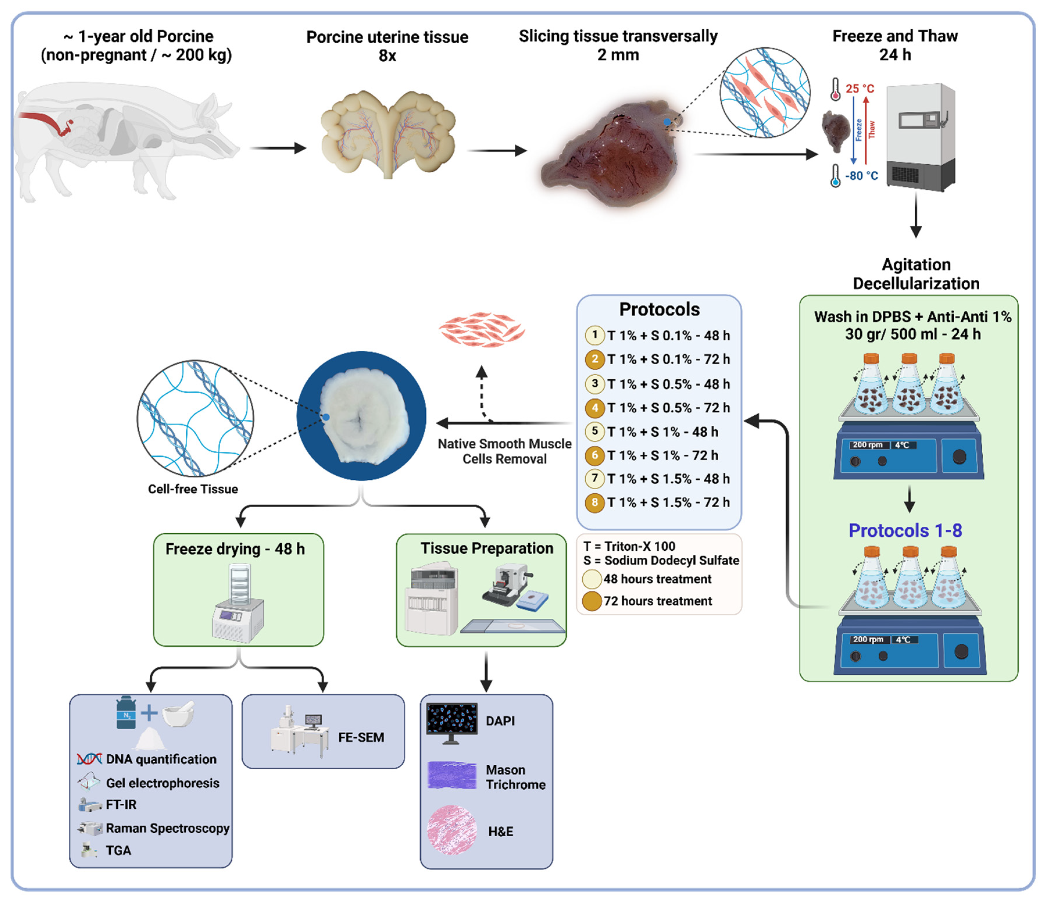 Preprints 164308 g001