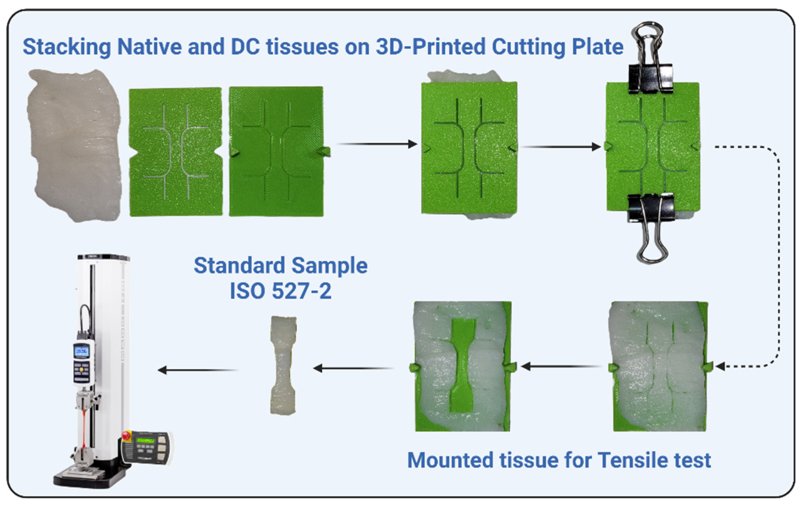 Preprints 164308 g003
