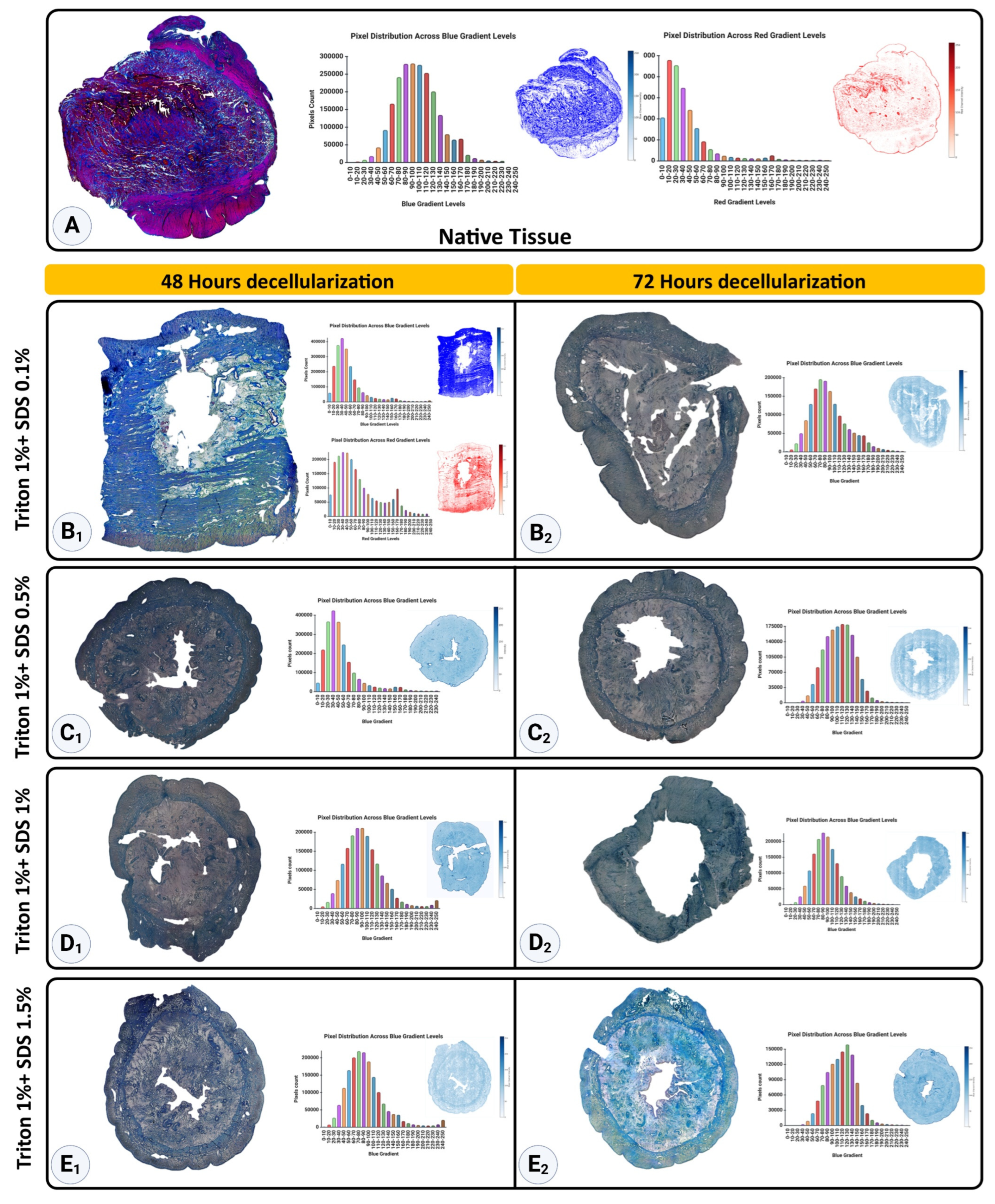 Preprints 164308 g007