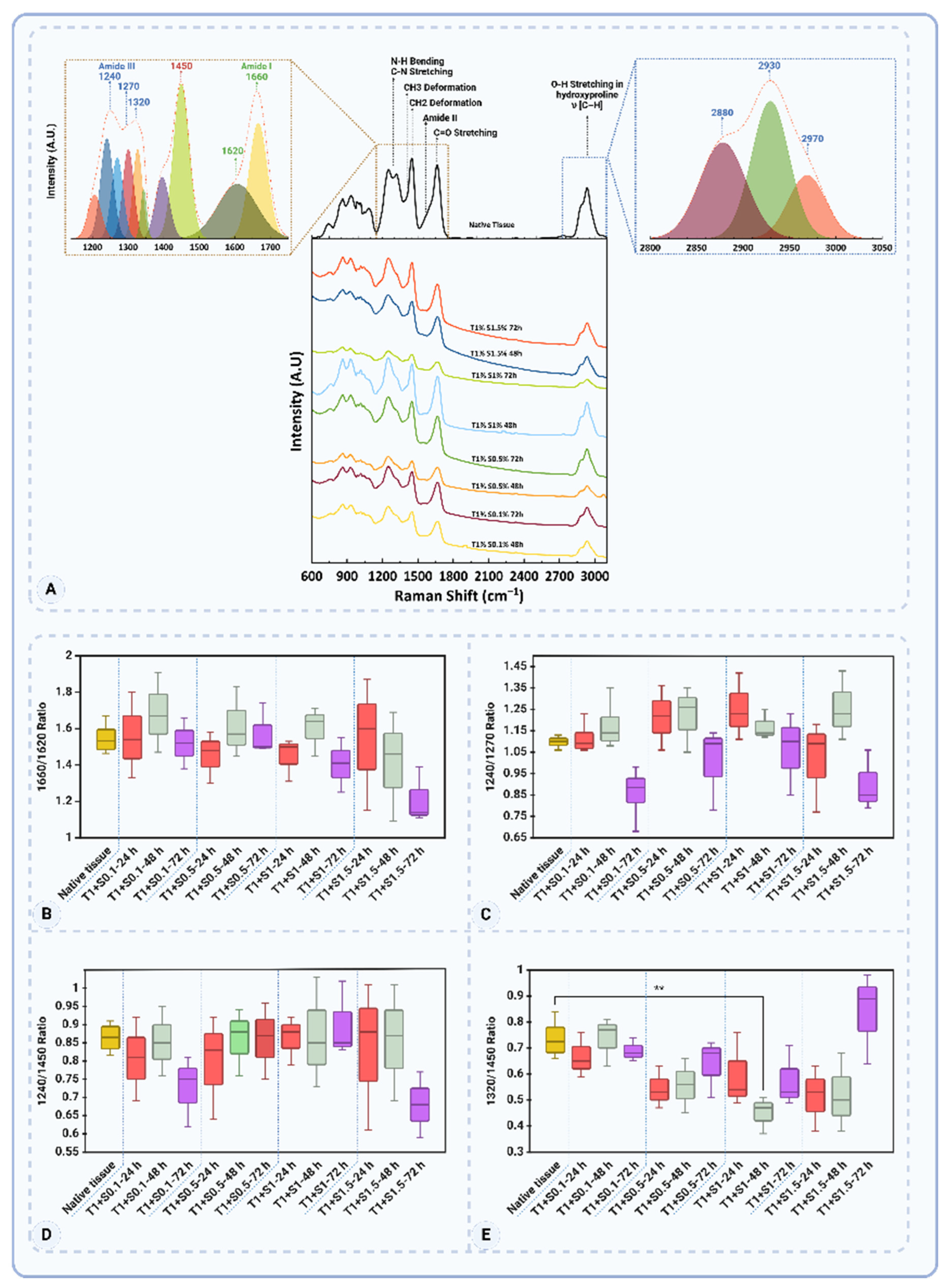 Preprints 164308 g010