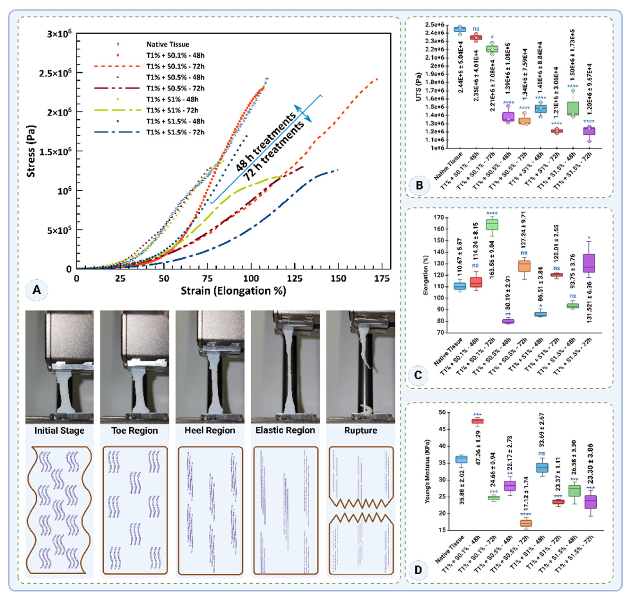 Preprints 164308 g012