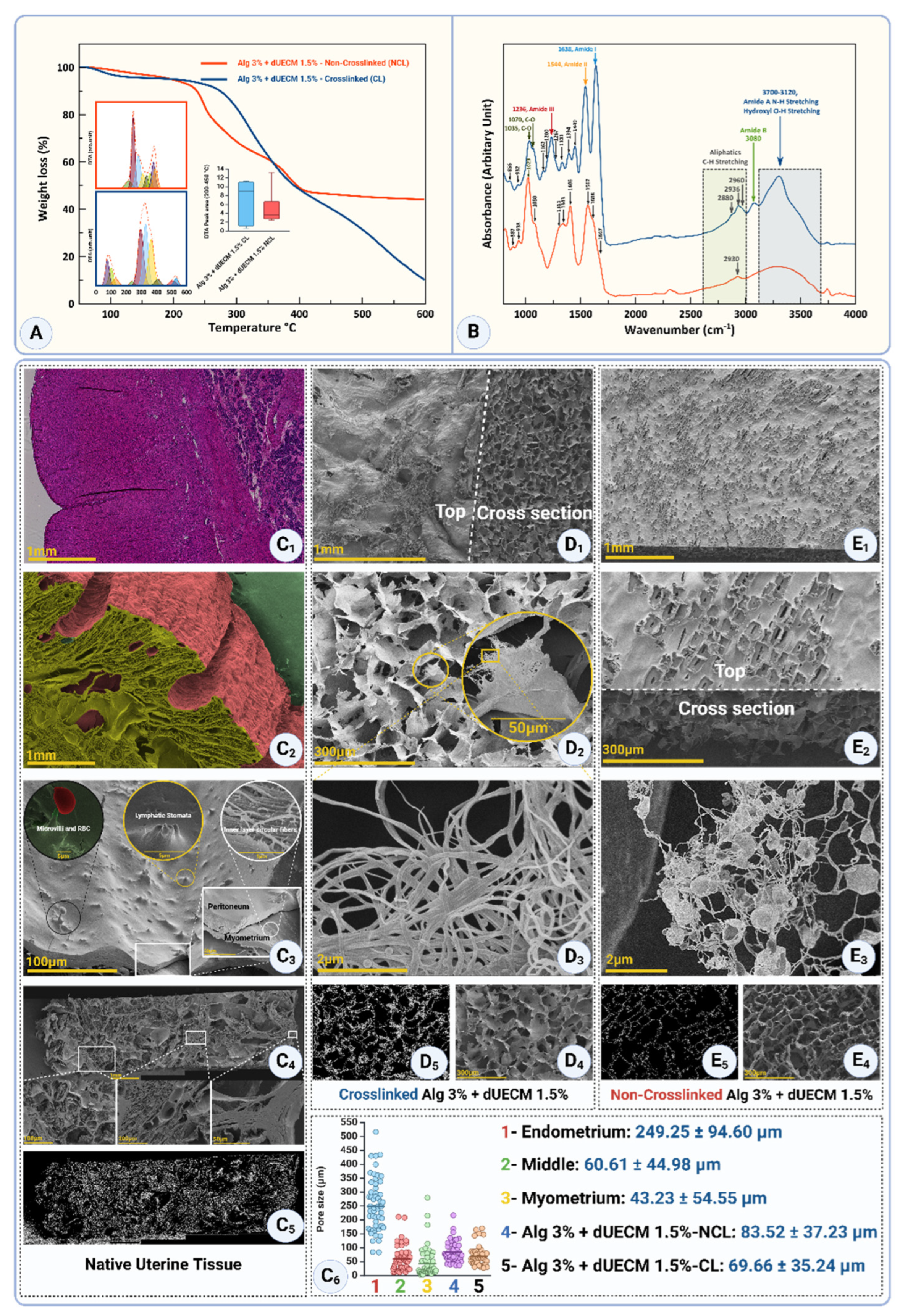 Preprints 164308 g017
