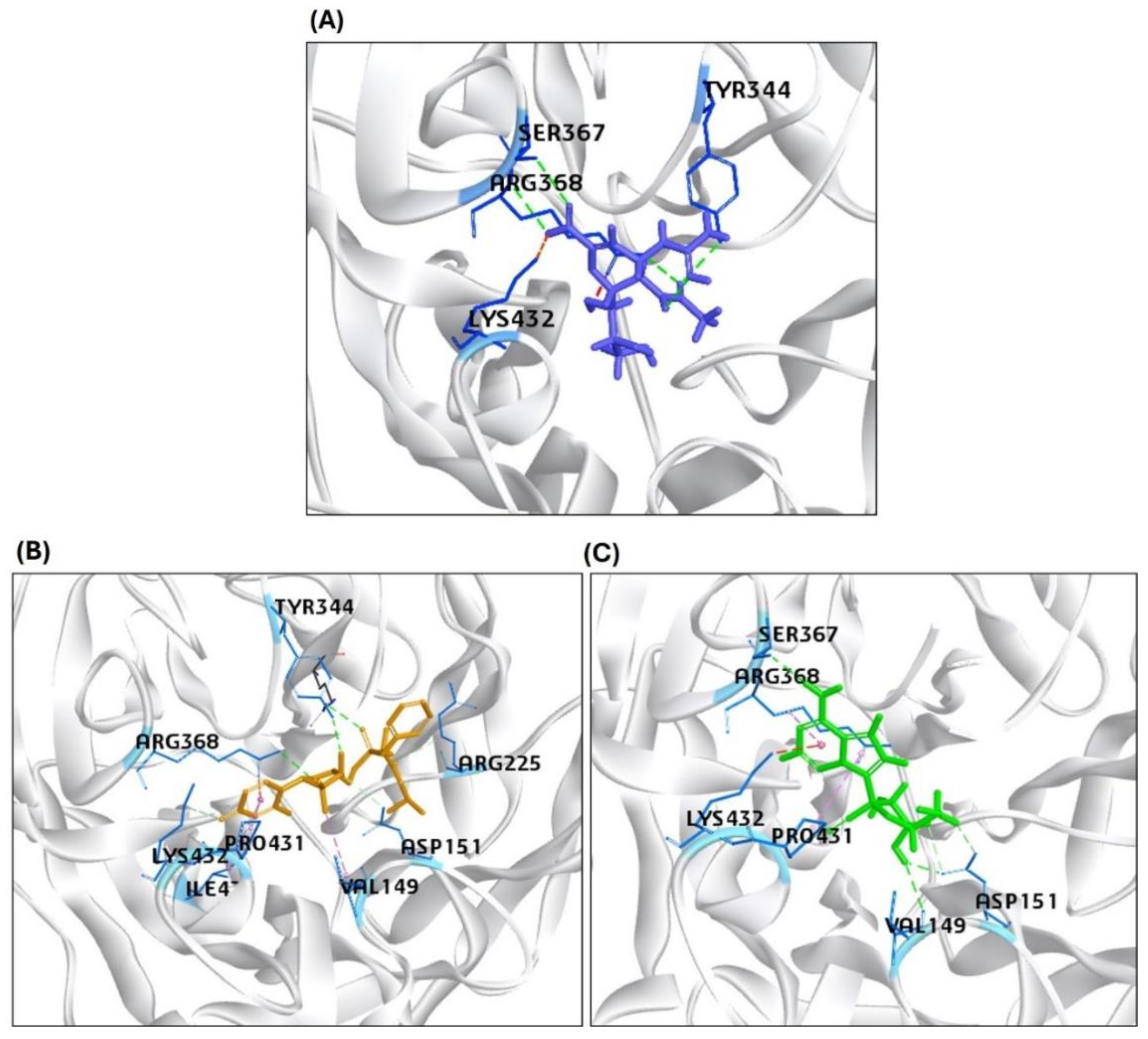 Preprints 162354 g003