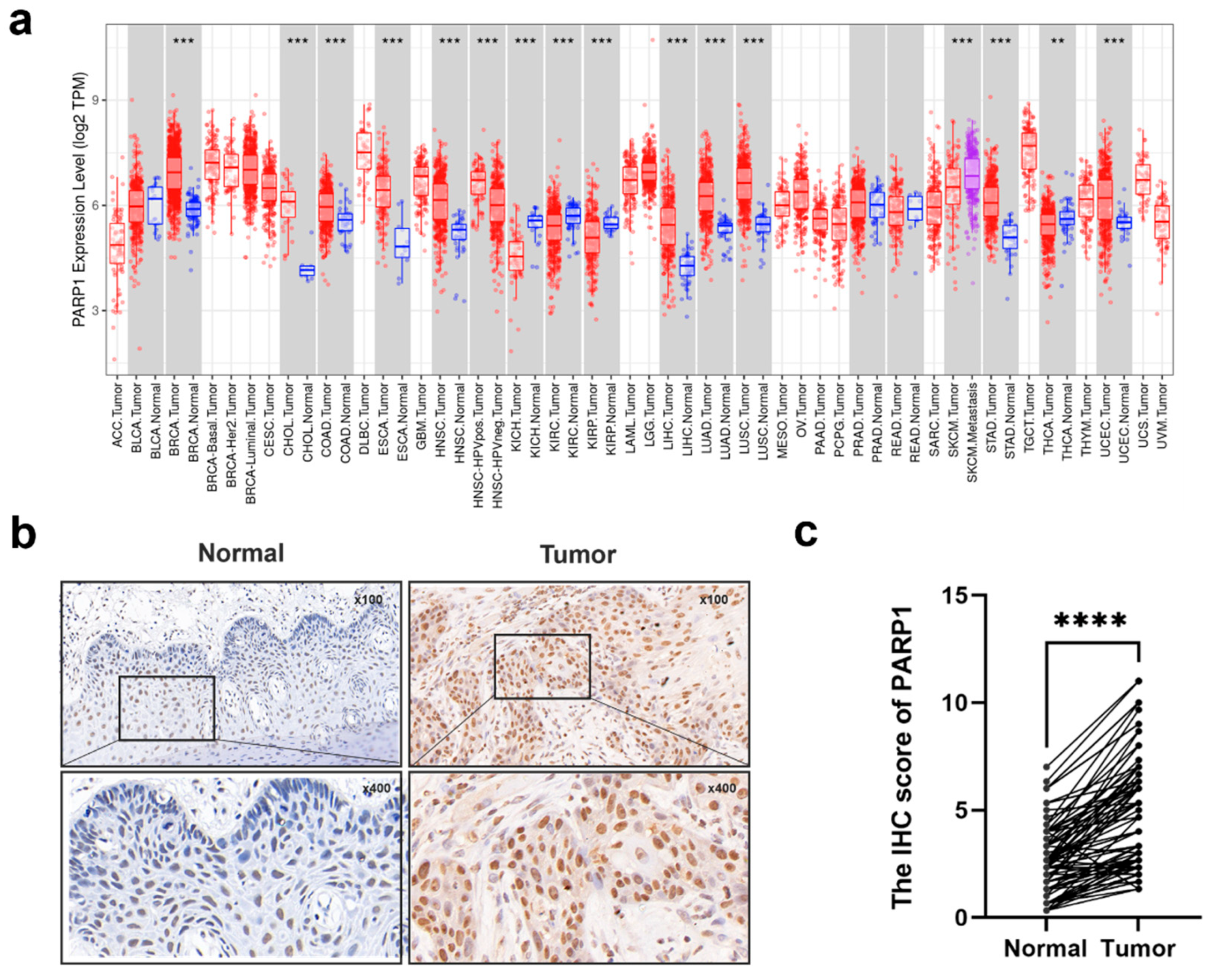 Preprints 163754 g001