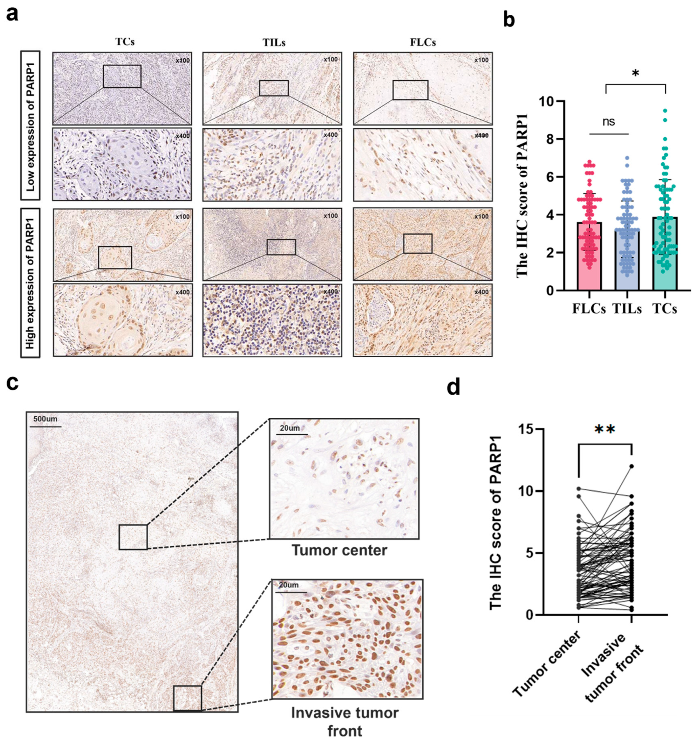 Preprints 163754 g002