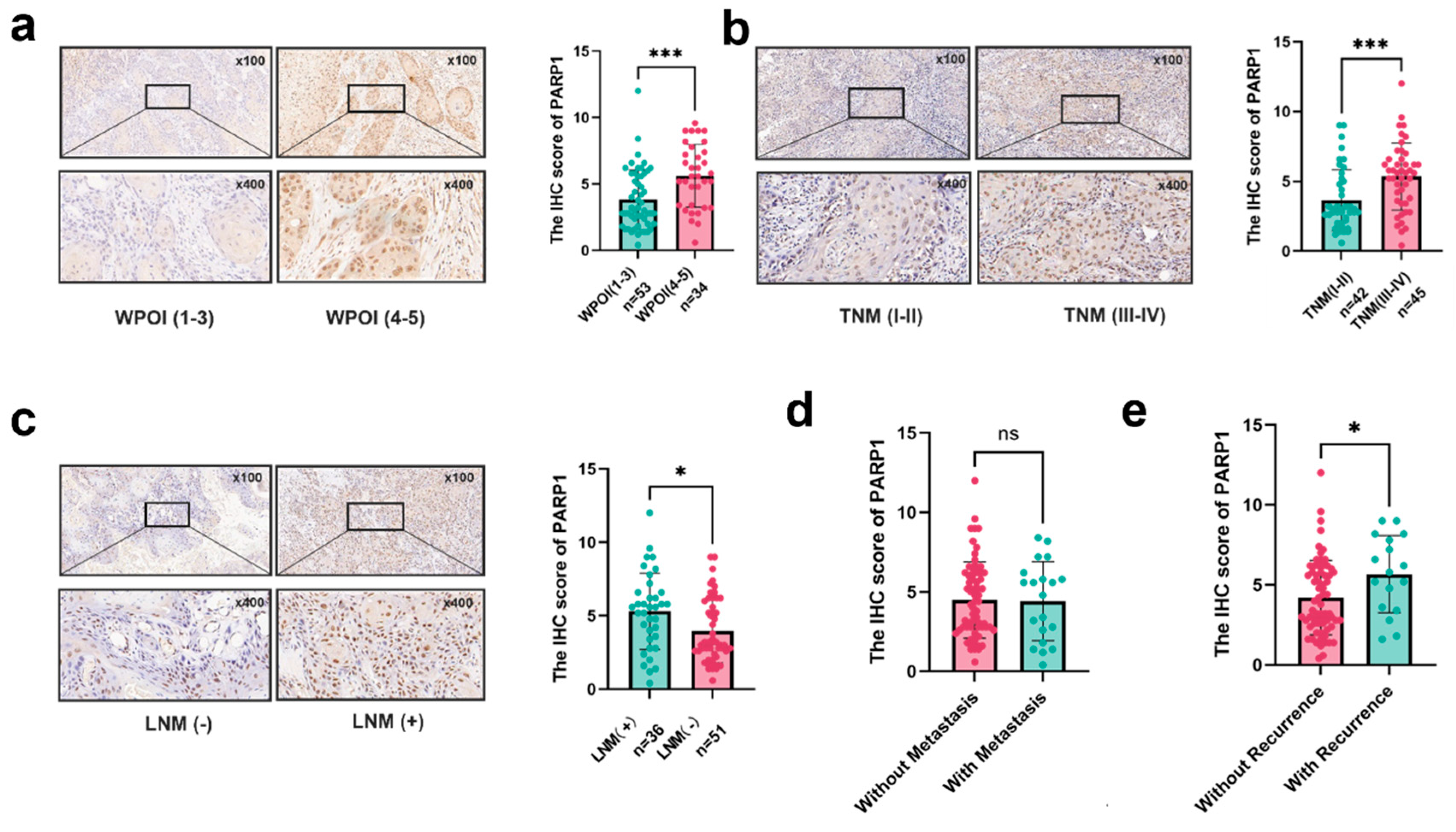 Preprints 163754 g003