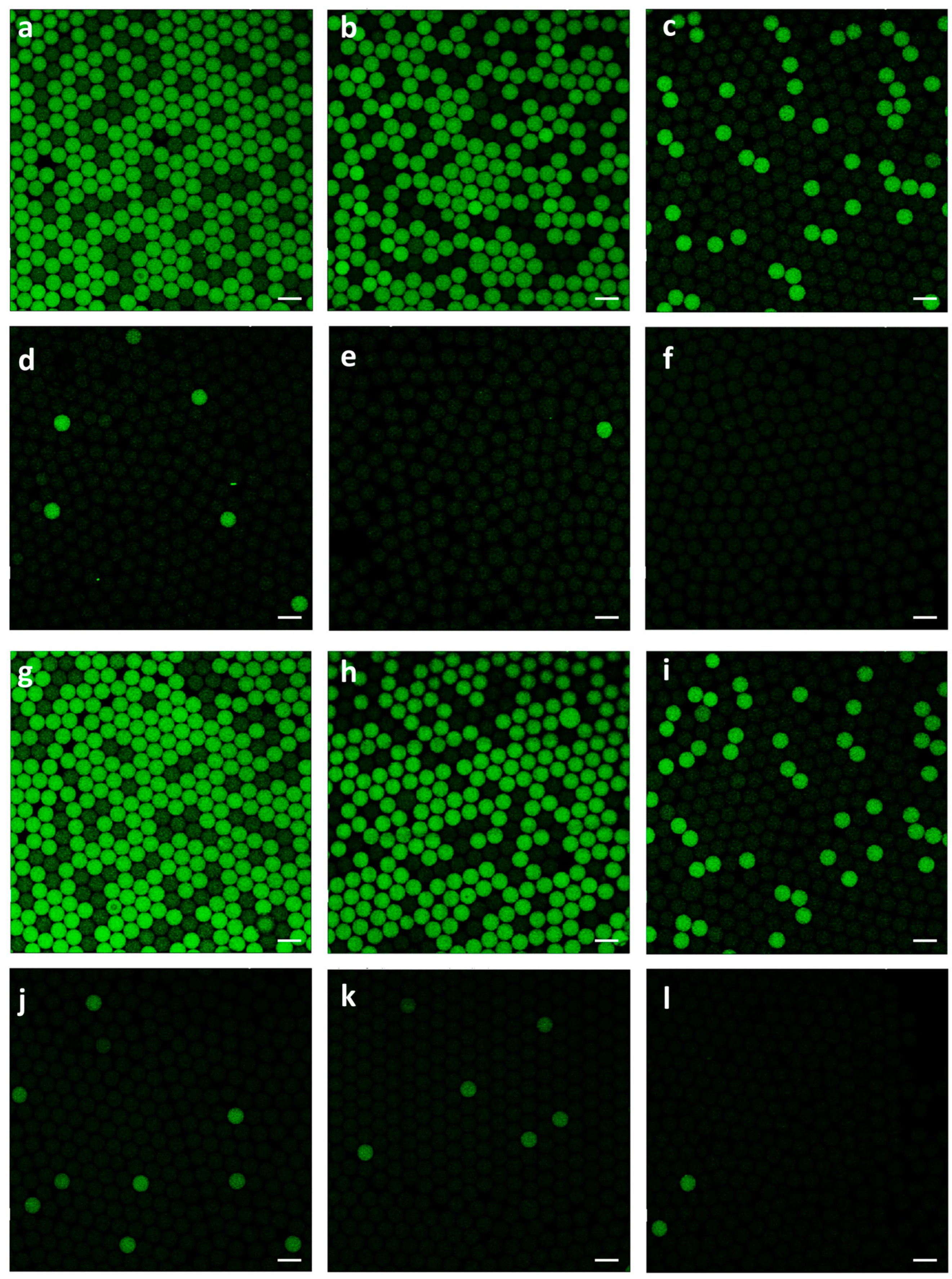 Preprints 84129 g003
