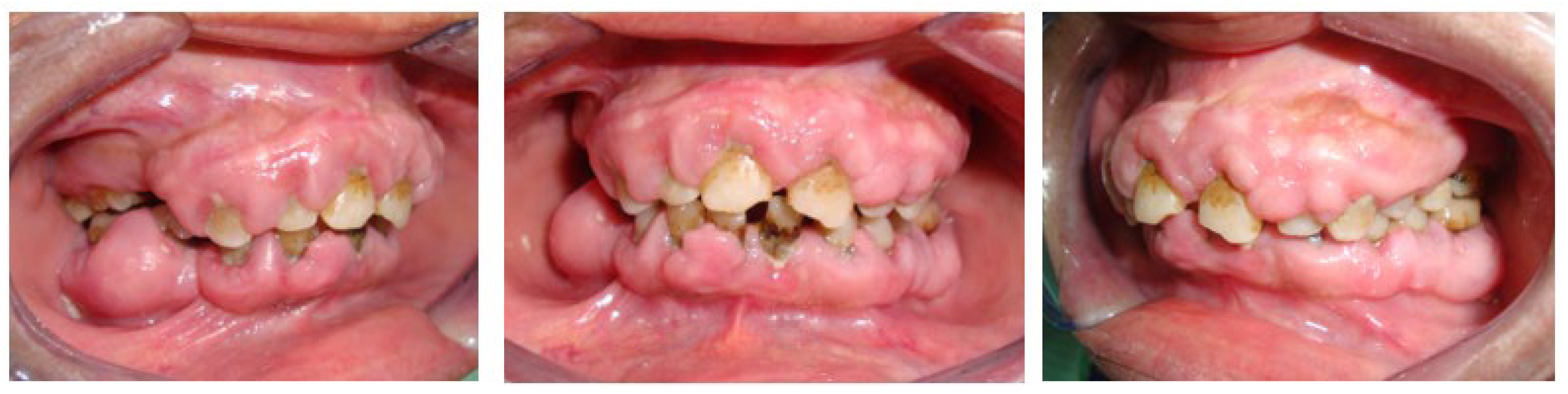 Preprints 76434 g002