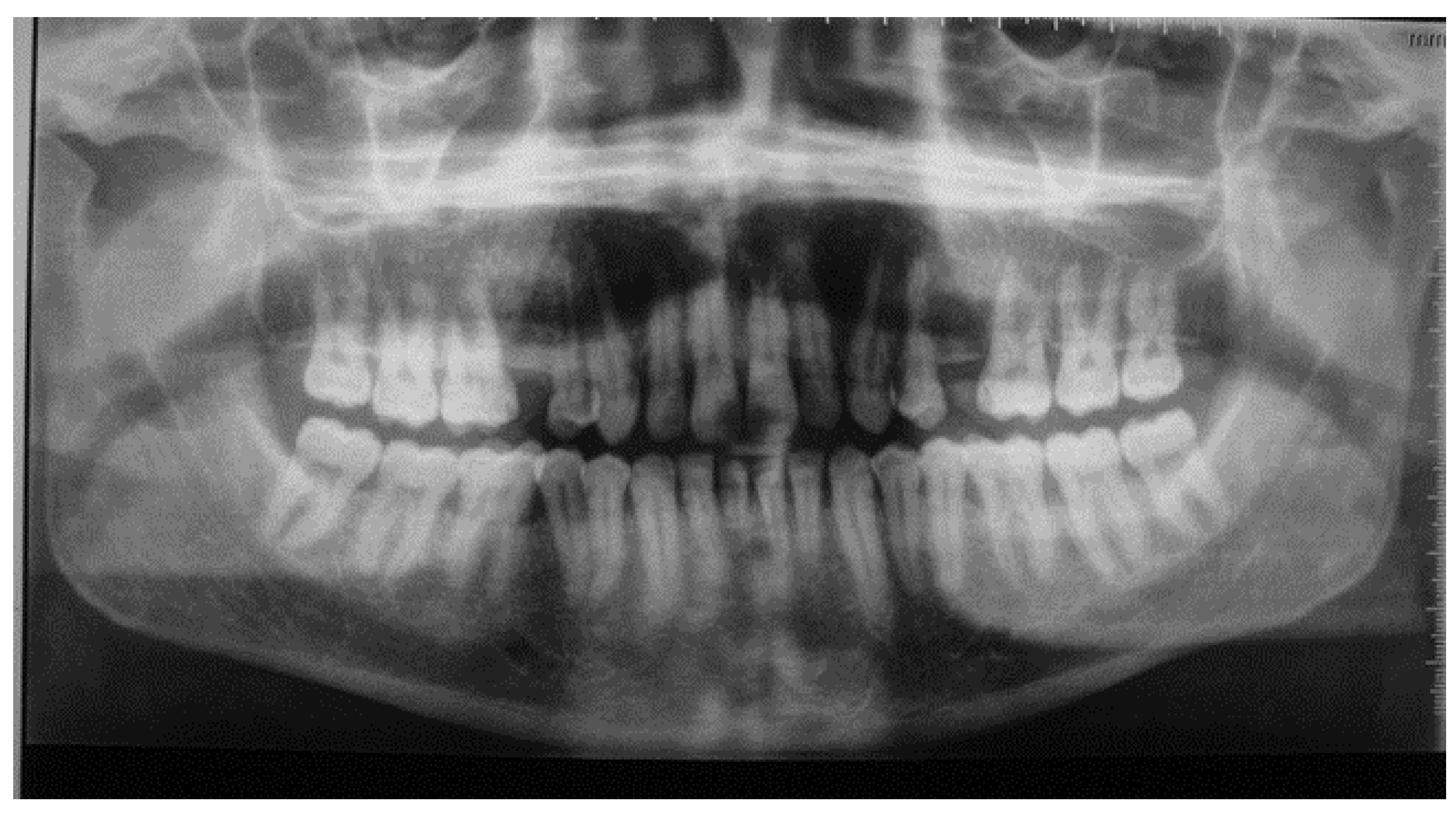 Preprints 76434 g005