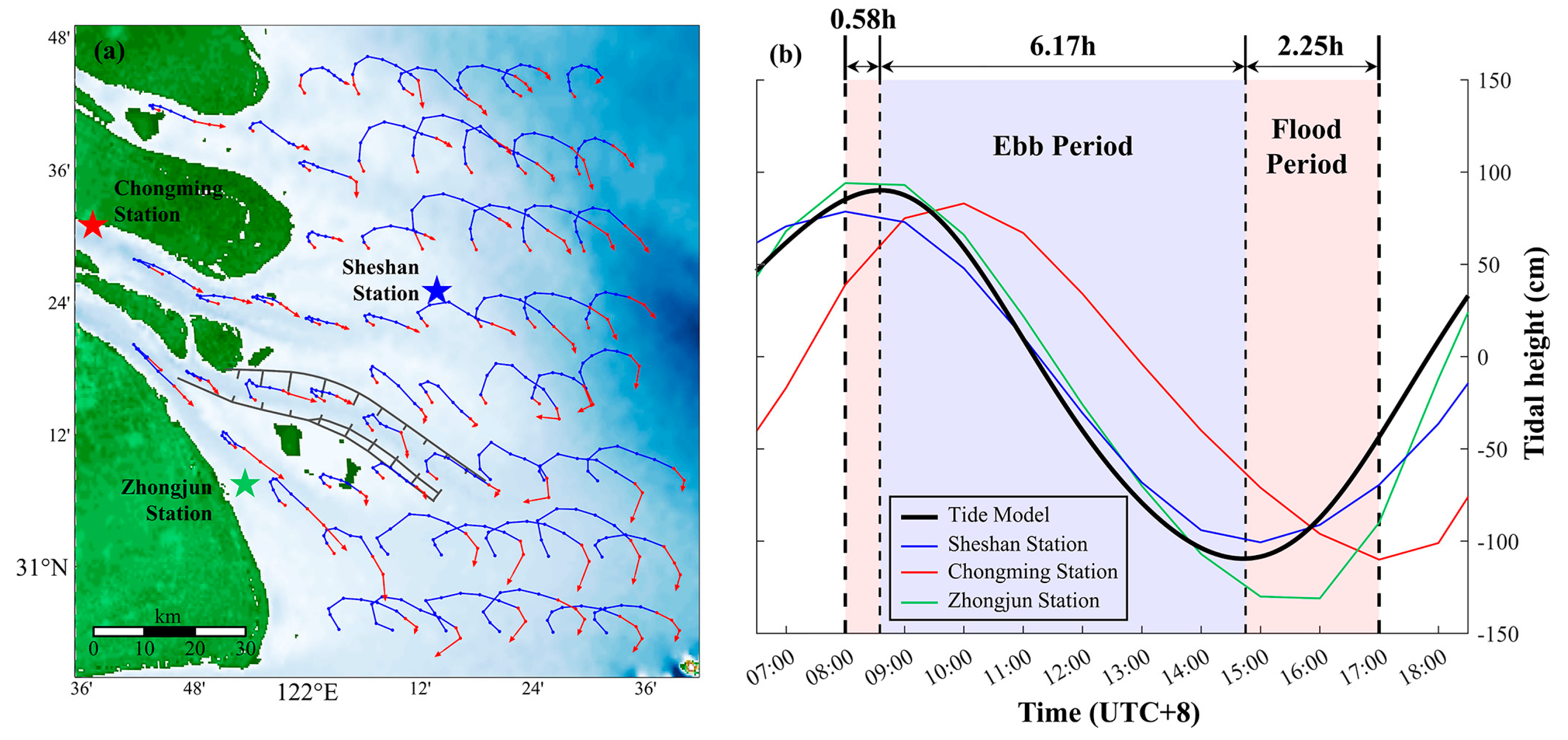 Preprints 145811 g010