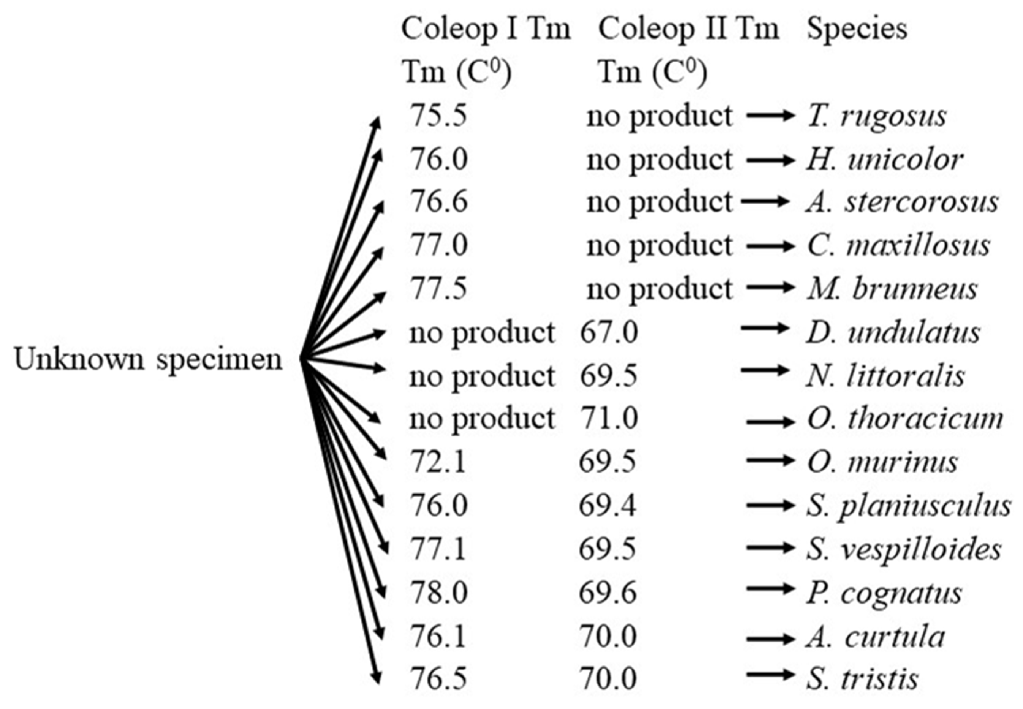 Preprints 144707 g001