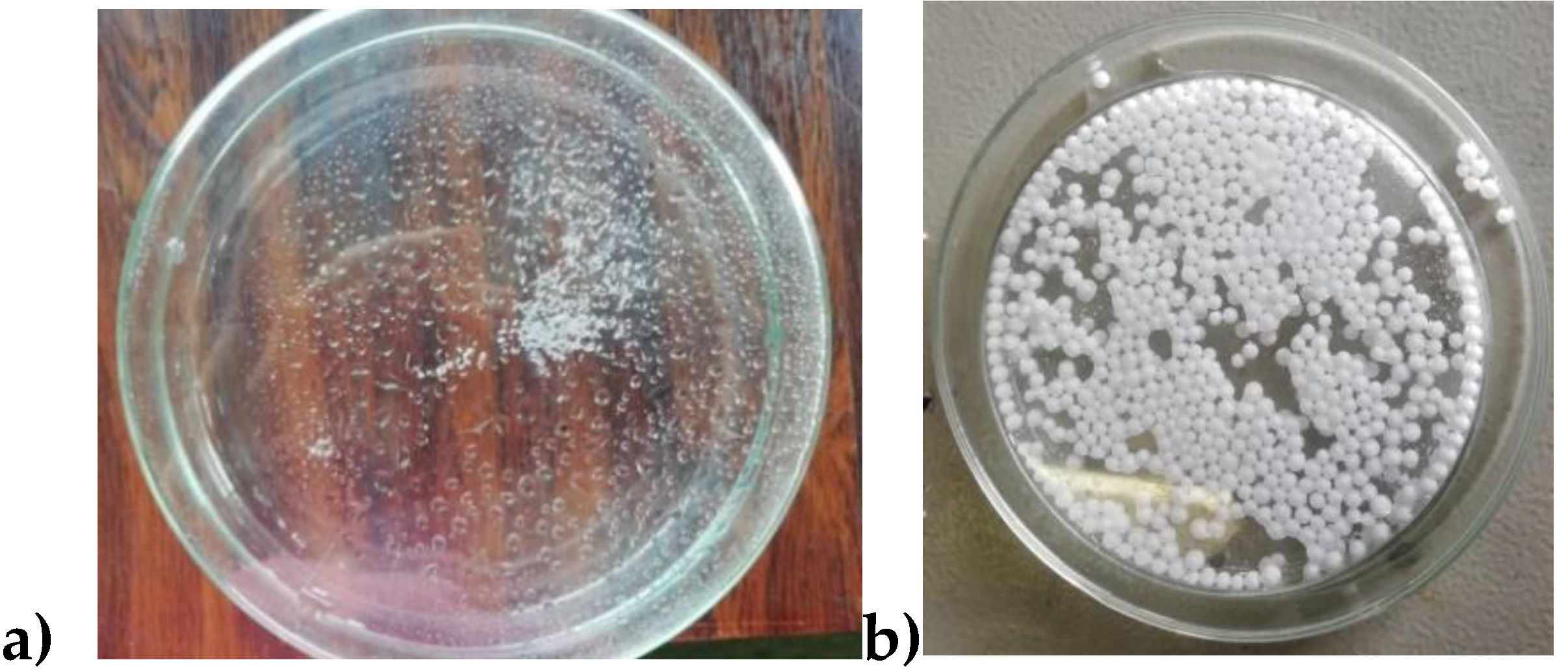 Preprints 190552 g013